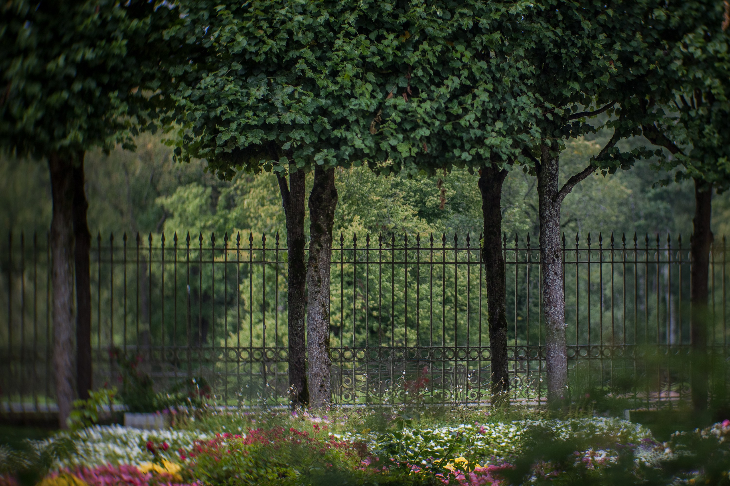 Ландшафтная фотография. Туманов Виталий — фотограф Москва