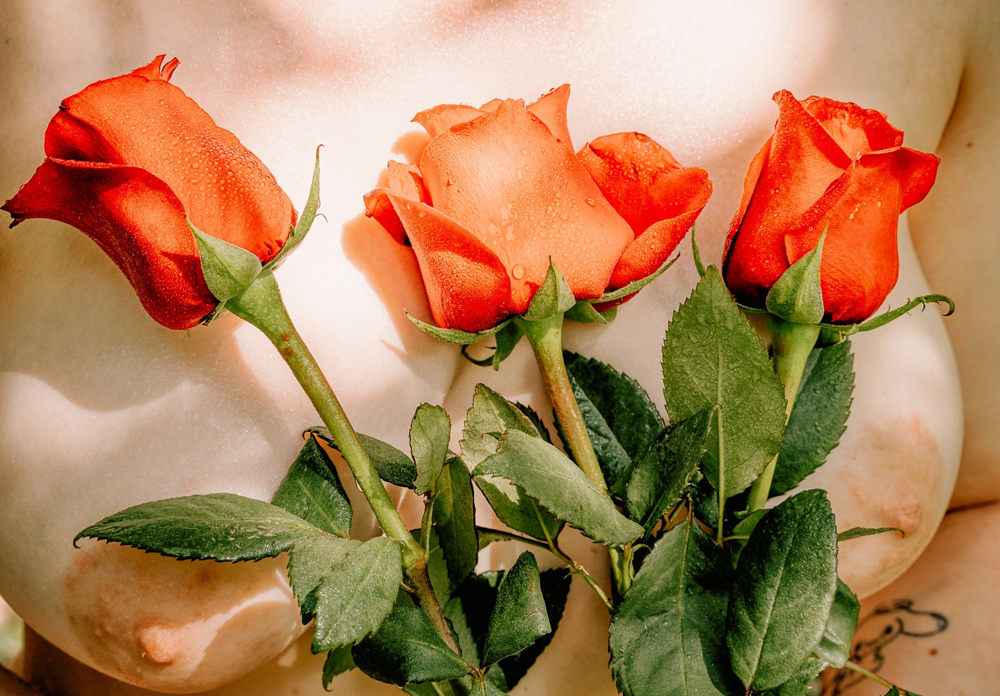 Кэт. В парке Лесоводов. Фотограф