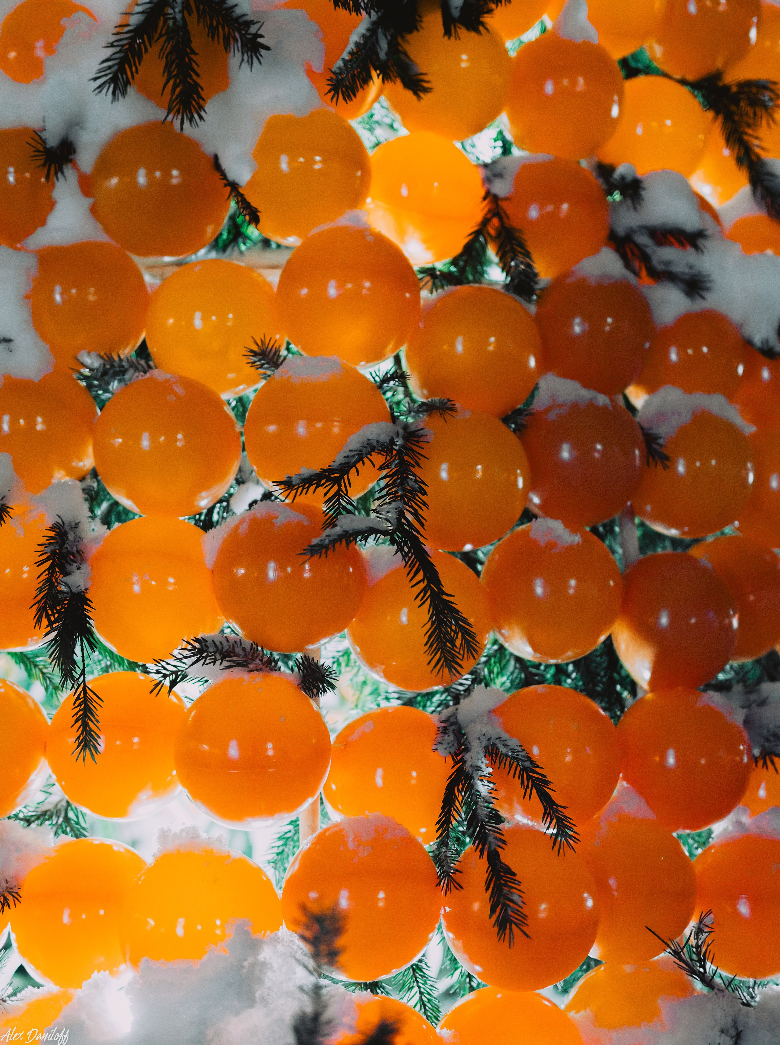 Елки 2025. Муром-Инфо. Новости культуры, образования, спорта в городе Муром