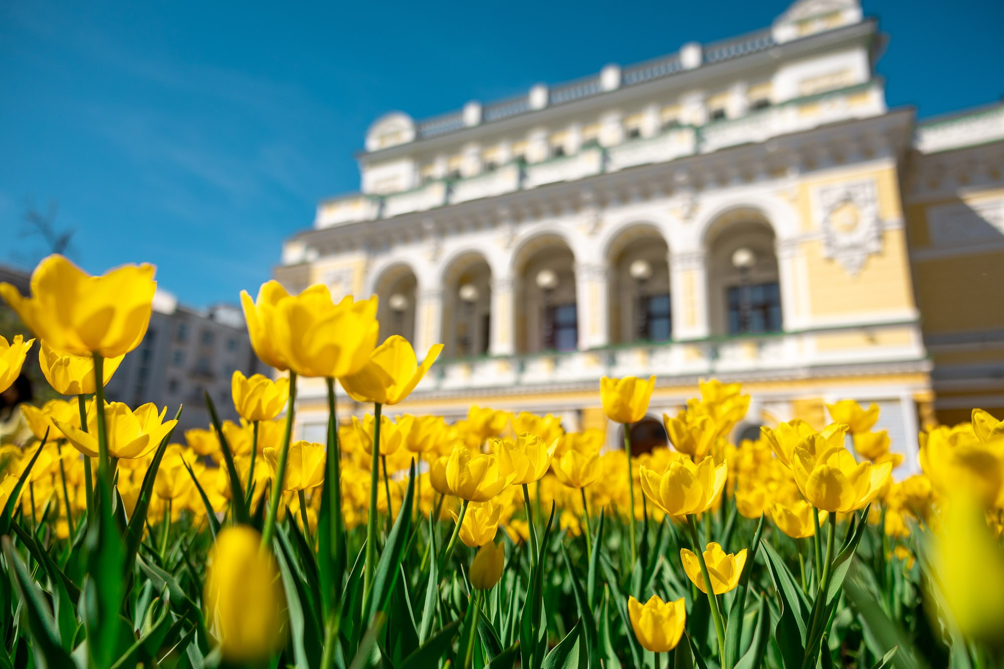 Потфолио. #НеЗемныеФотографии Нижнего Новгорода