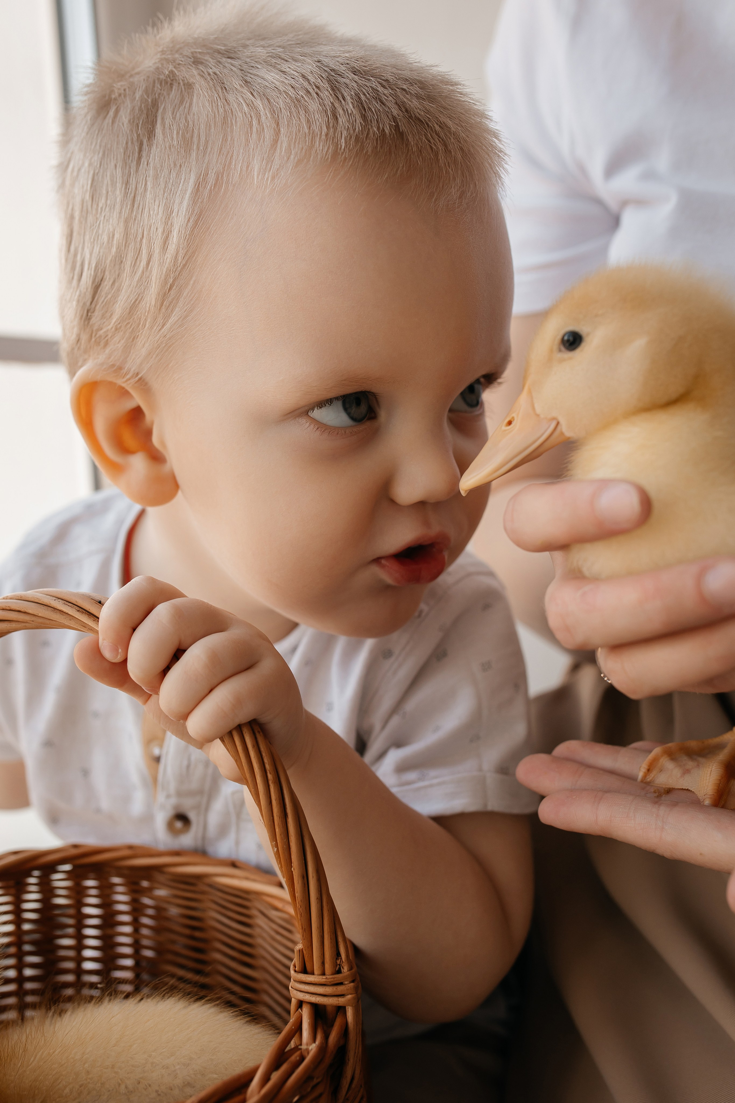 Семейная. Свадебный фотограф Красноярск — Кристина Ива