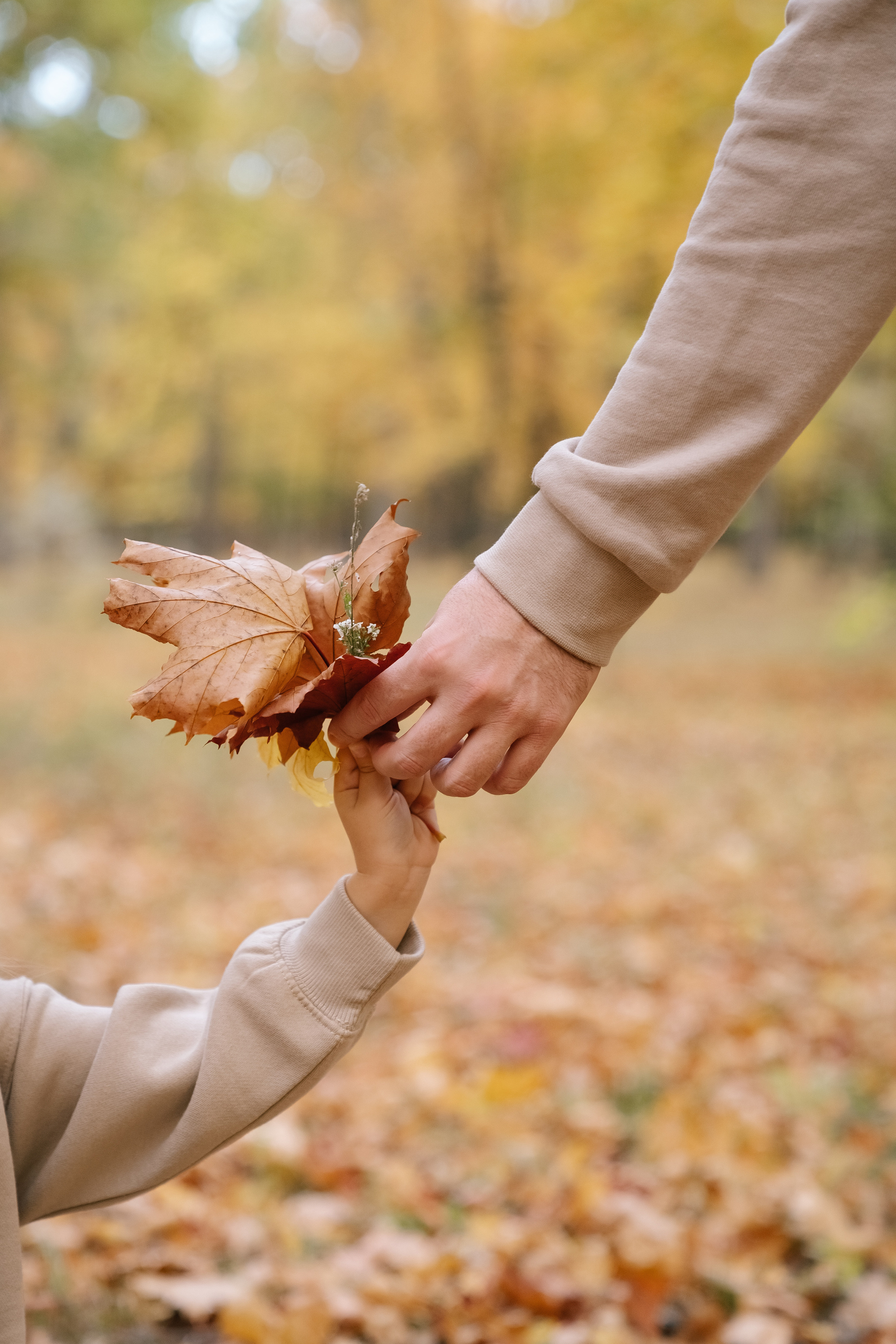 Надя, Вова и Кристина. Фотограф в Москве Ирина Малахова