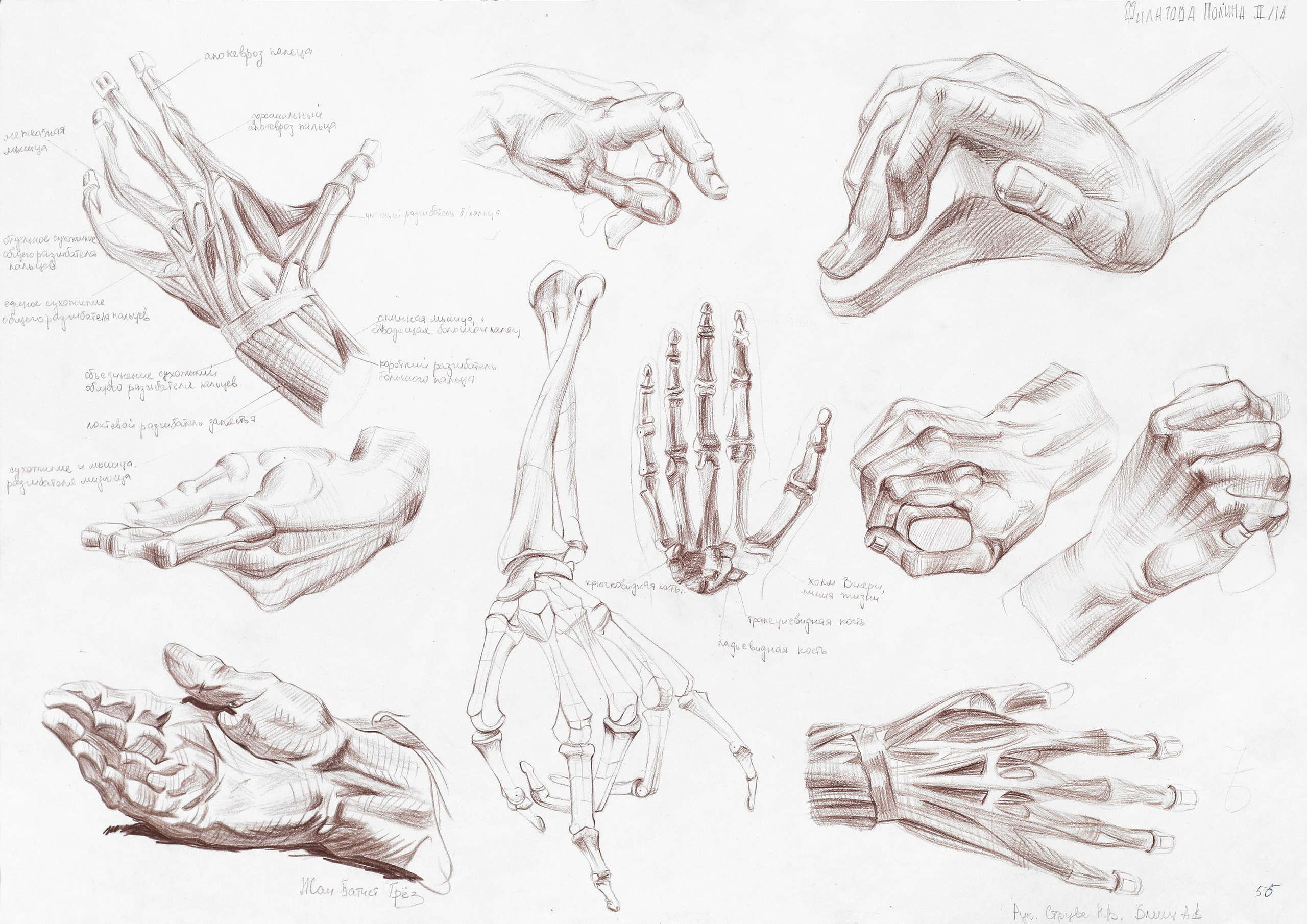 Работы студентов. Главная