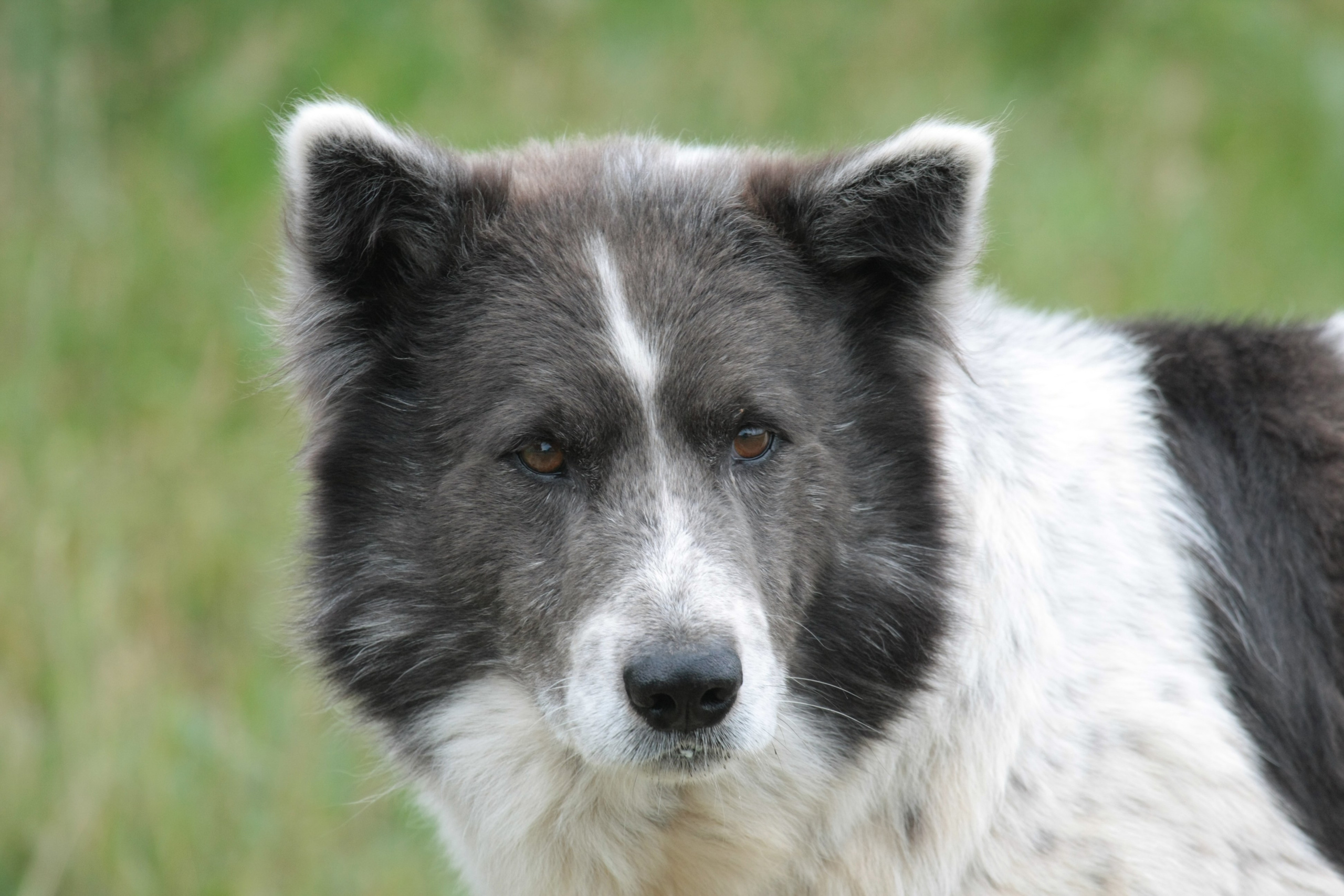 Фото Природы Забайкалья. Студия Максима Белослюдцева