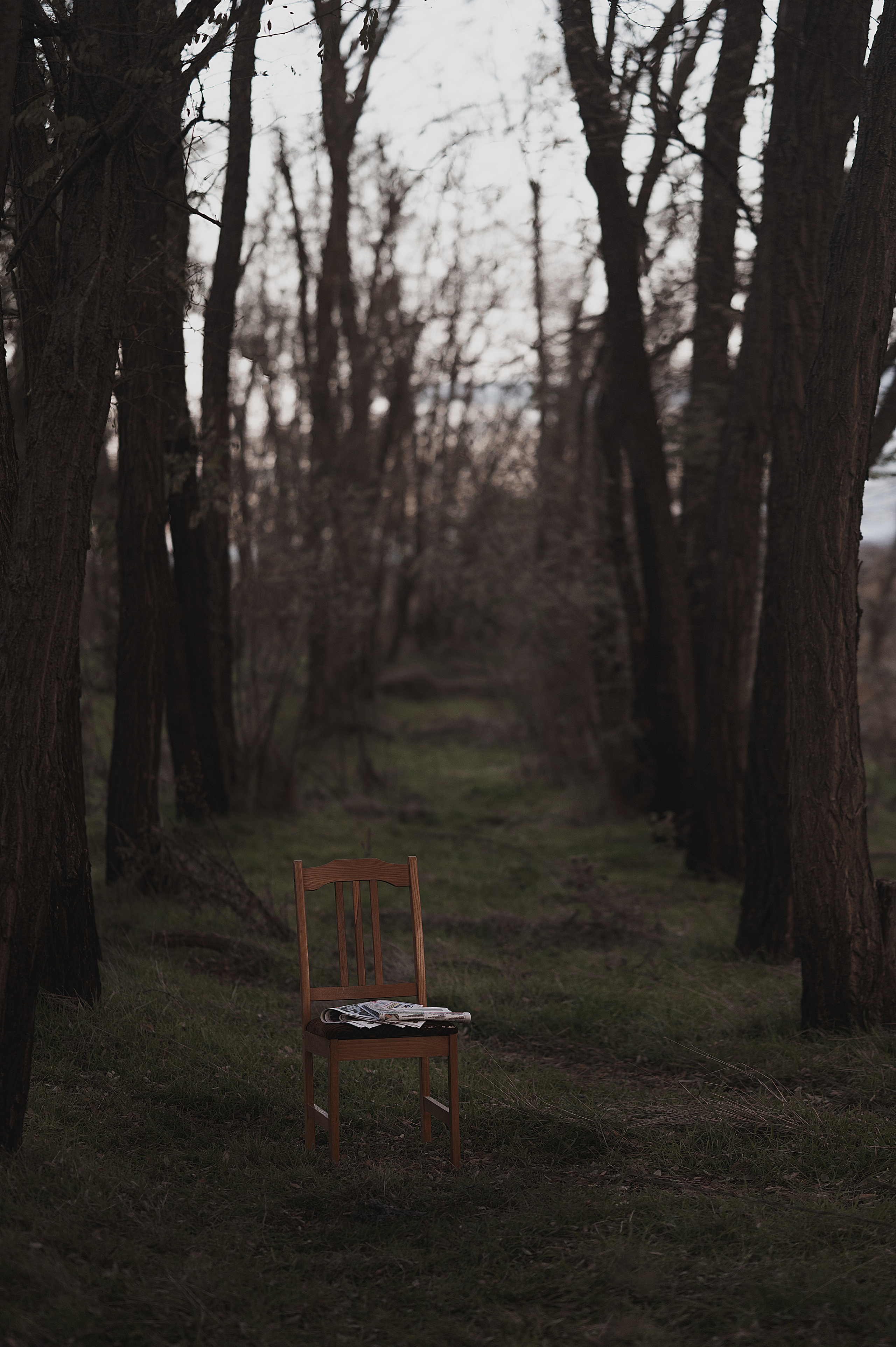 Алексей. Фотограф Елизавета Жуйкова | Фотосессии в Волгодонске: портретные, лав стори, семейные