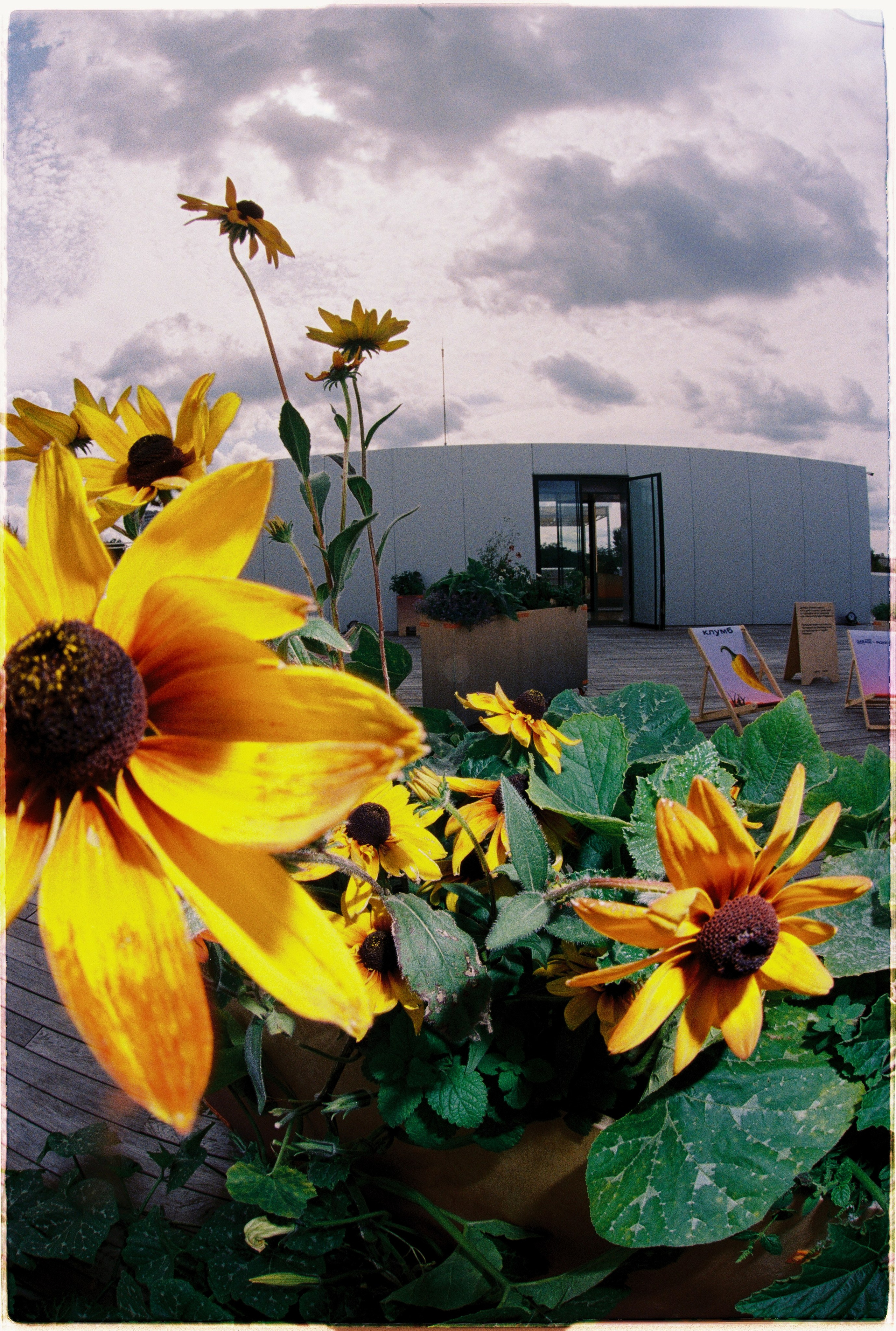 Илья Симонов фотограф москва