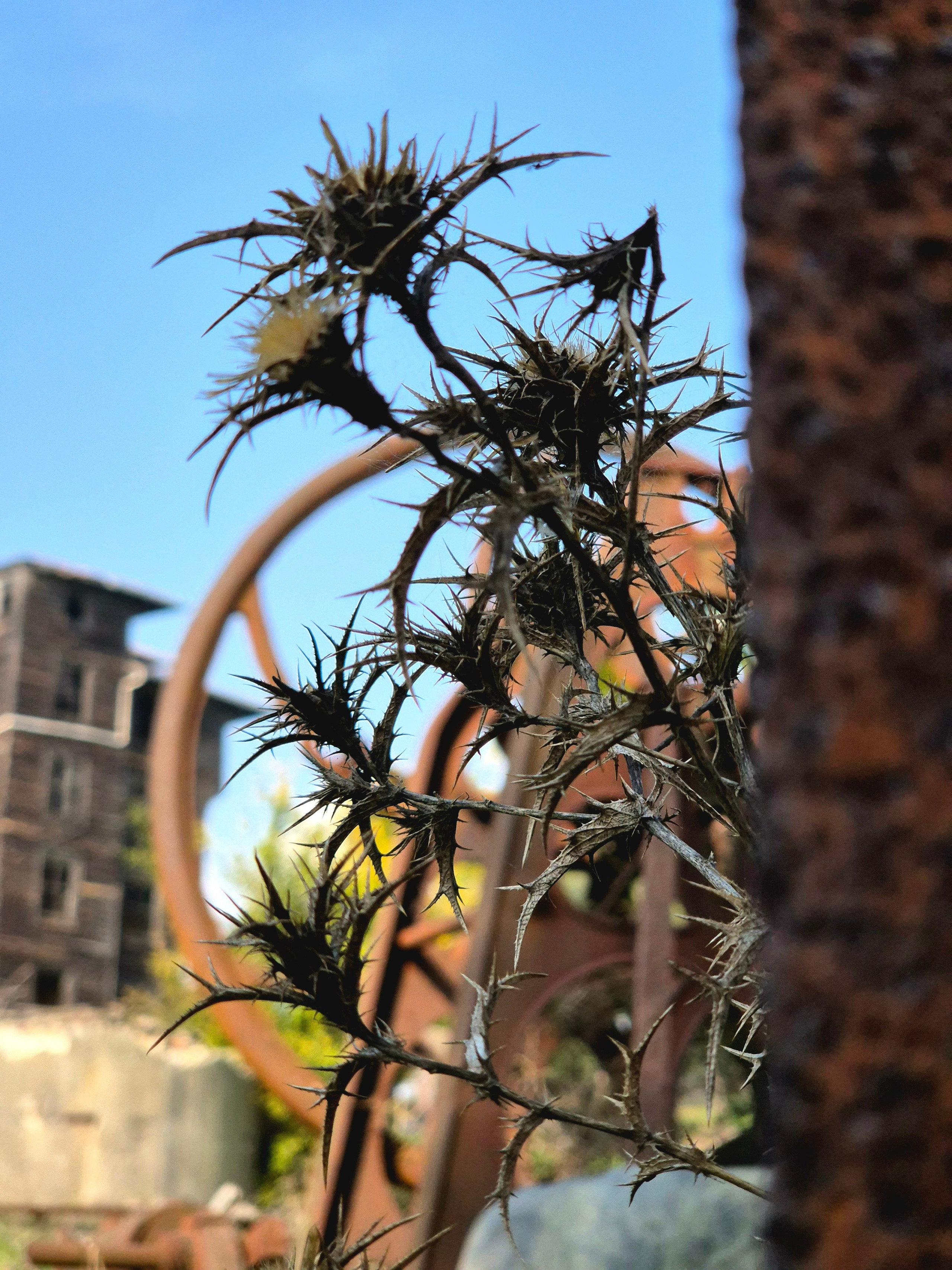 Забрались на вершину острова. Делать это в ноябре на порядок комфортнее, чем по июльской жаре