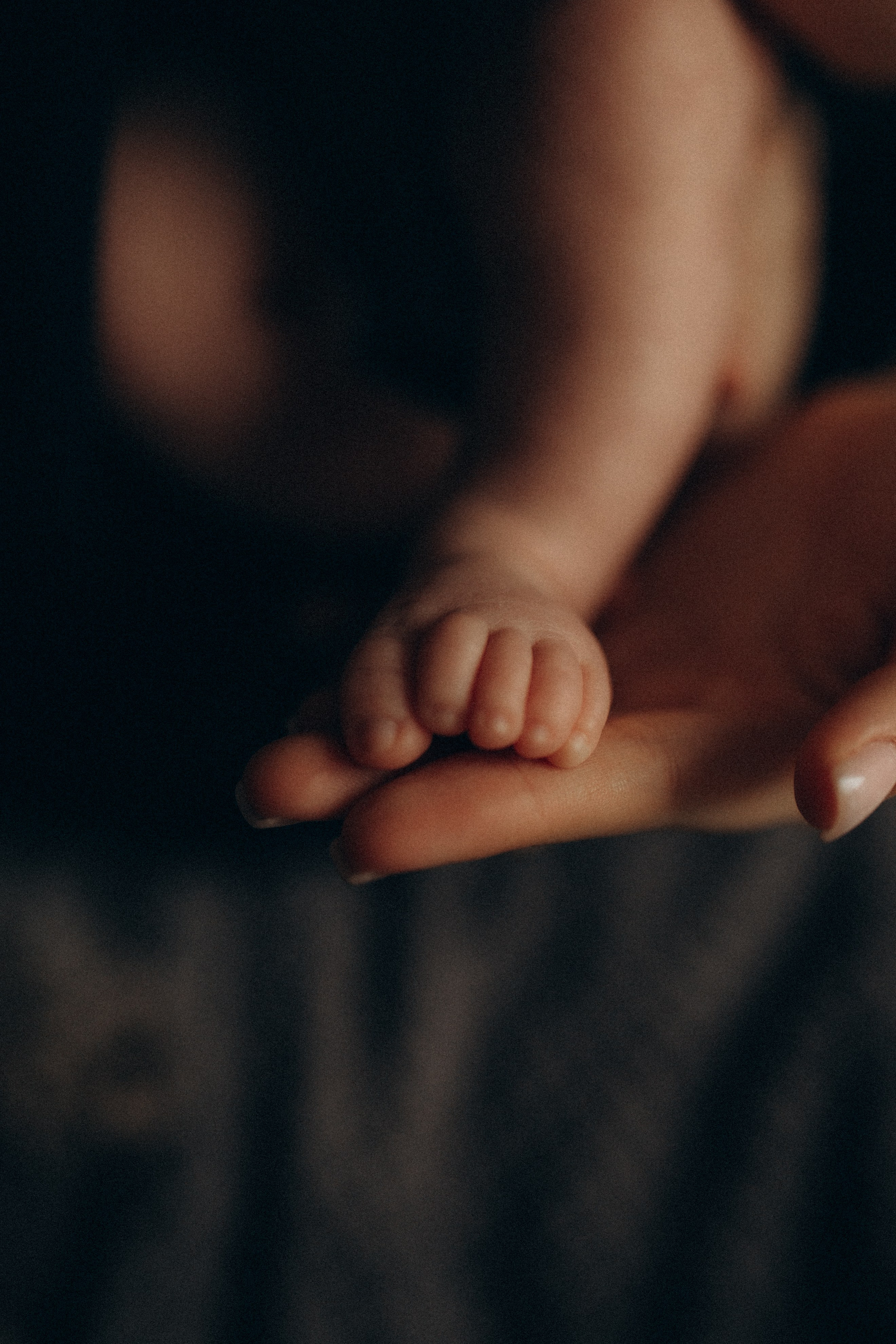 Полина. Семейный фотограф в Москве и Люберцах Юлия Гуськова