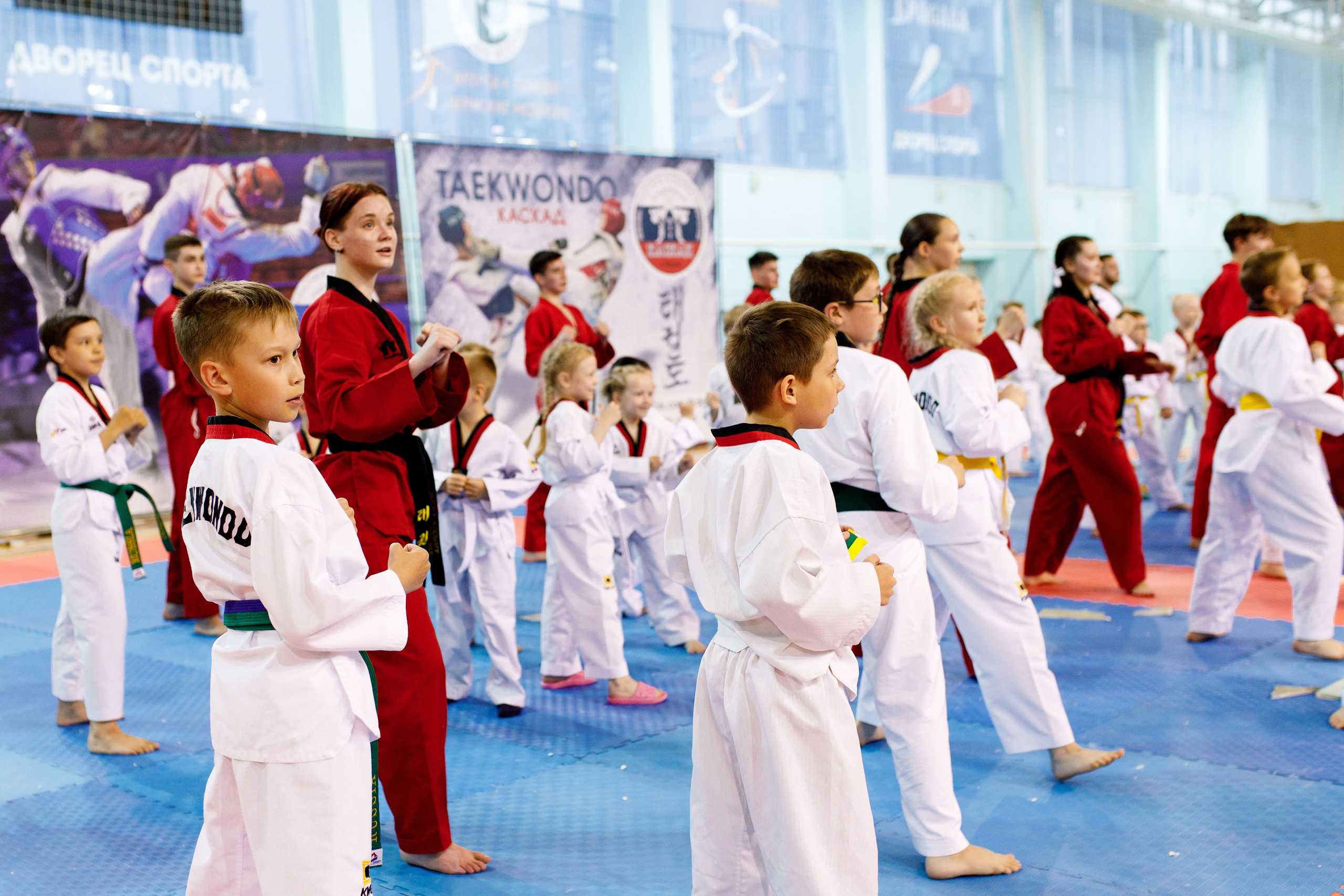 Тхэквондо СК «Каскад». Фотограф Дмитрий Молчанов | Фотограф Пермь | Фотограф