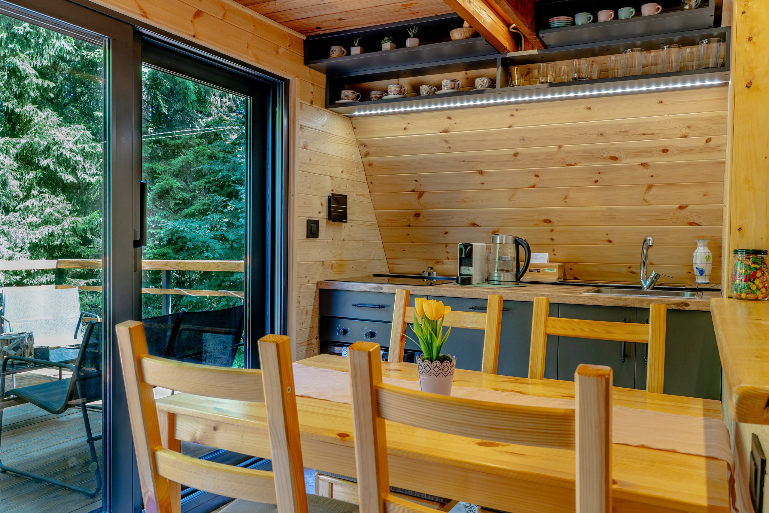 Viktorija Chalet. Photographer Liana Sudets Serbia Kopaonik Brzece Brus