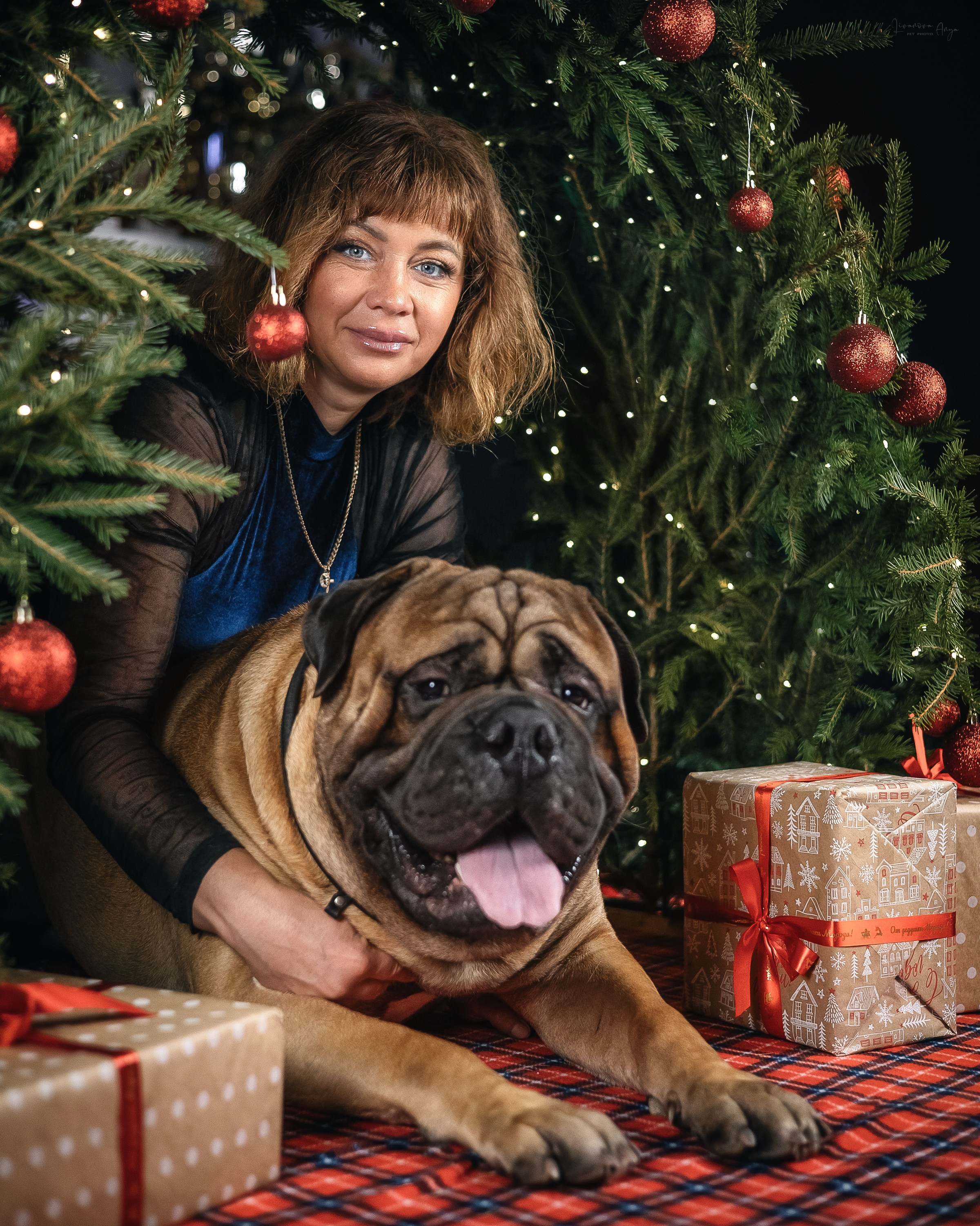 Фотодень_2 2025. Фотограф анималист Аня Ливанова | Рыбинск