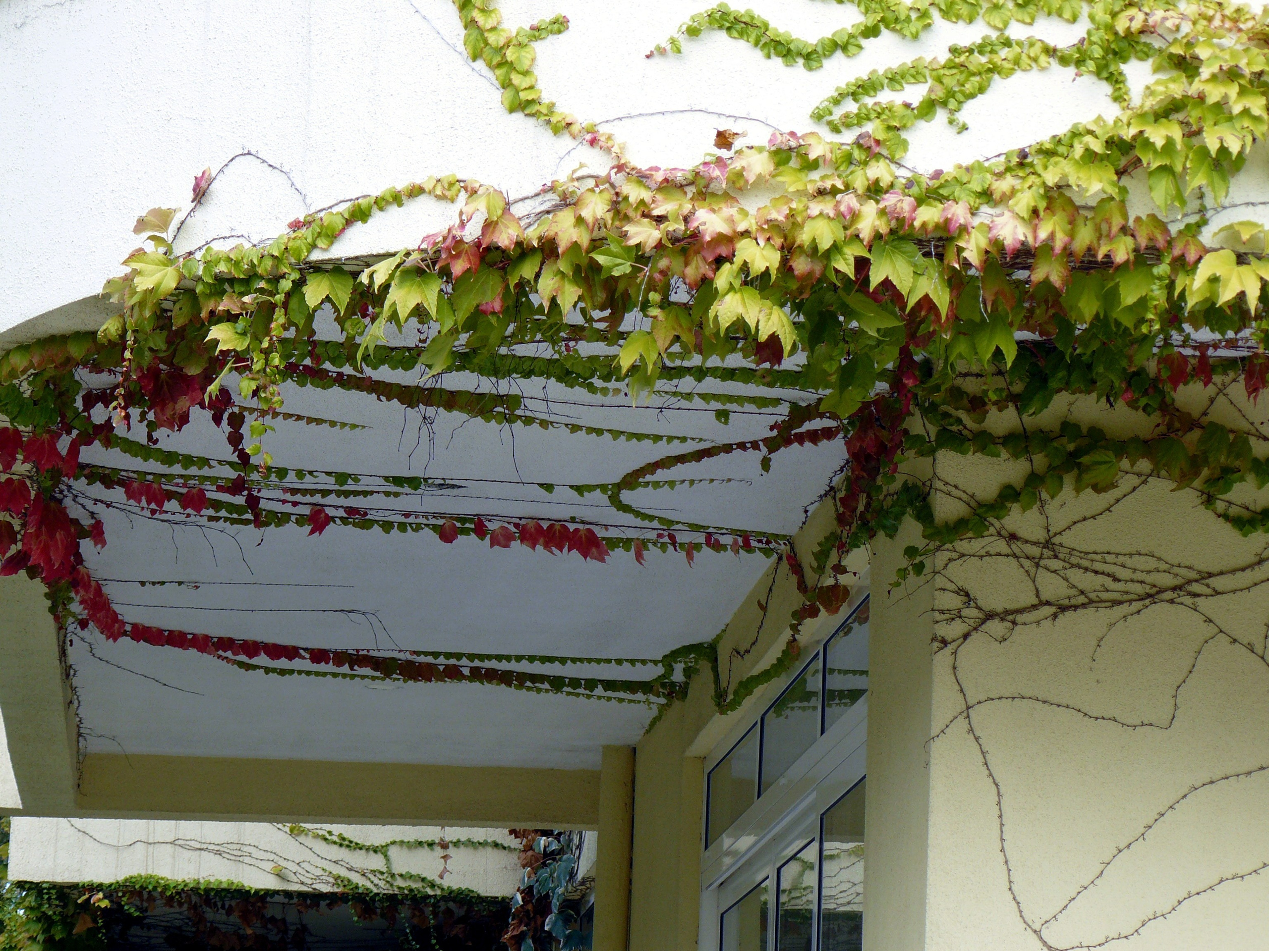 Кемер, Чамьюва 2008. Избранные фотографии