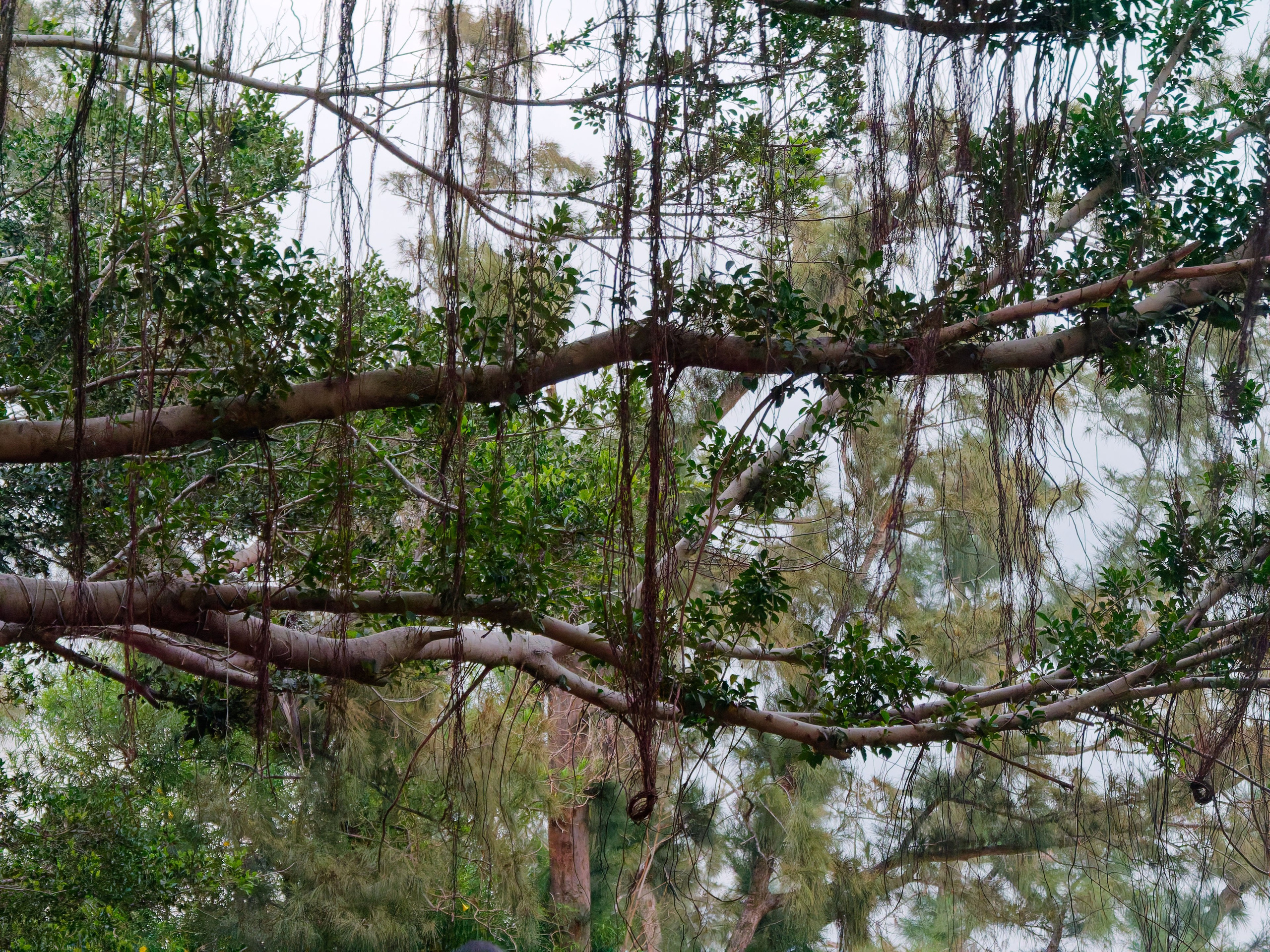 Хайнань 2026, улицы Ялунвань и Саньи. Фотопрогулки по Миру