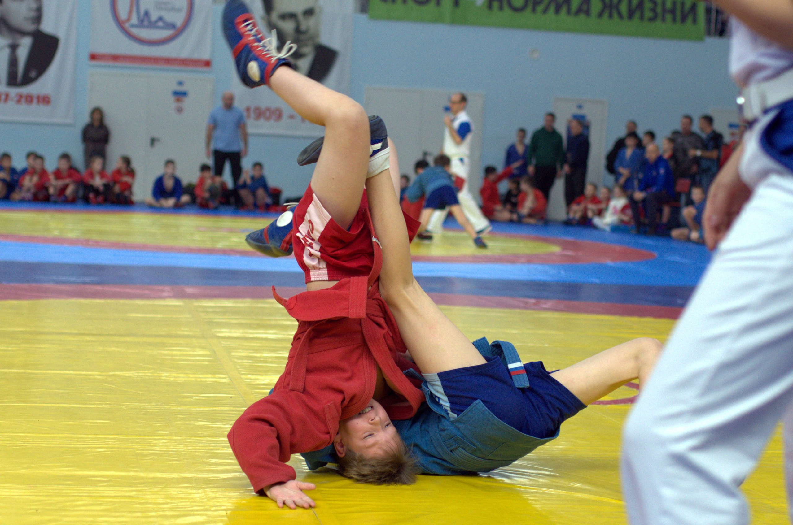 Самбо. Турнир к дню самбо. Фото детских спортивных мероприятий и всякое интересное через объектив