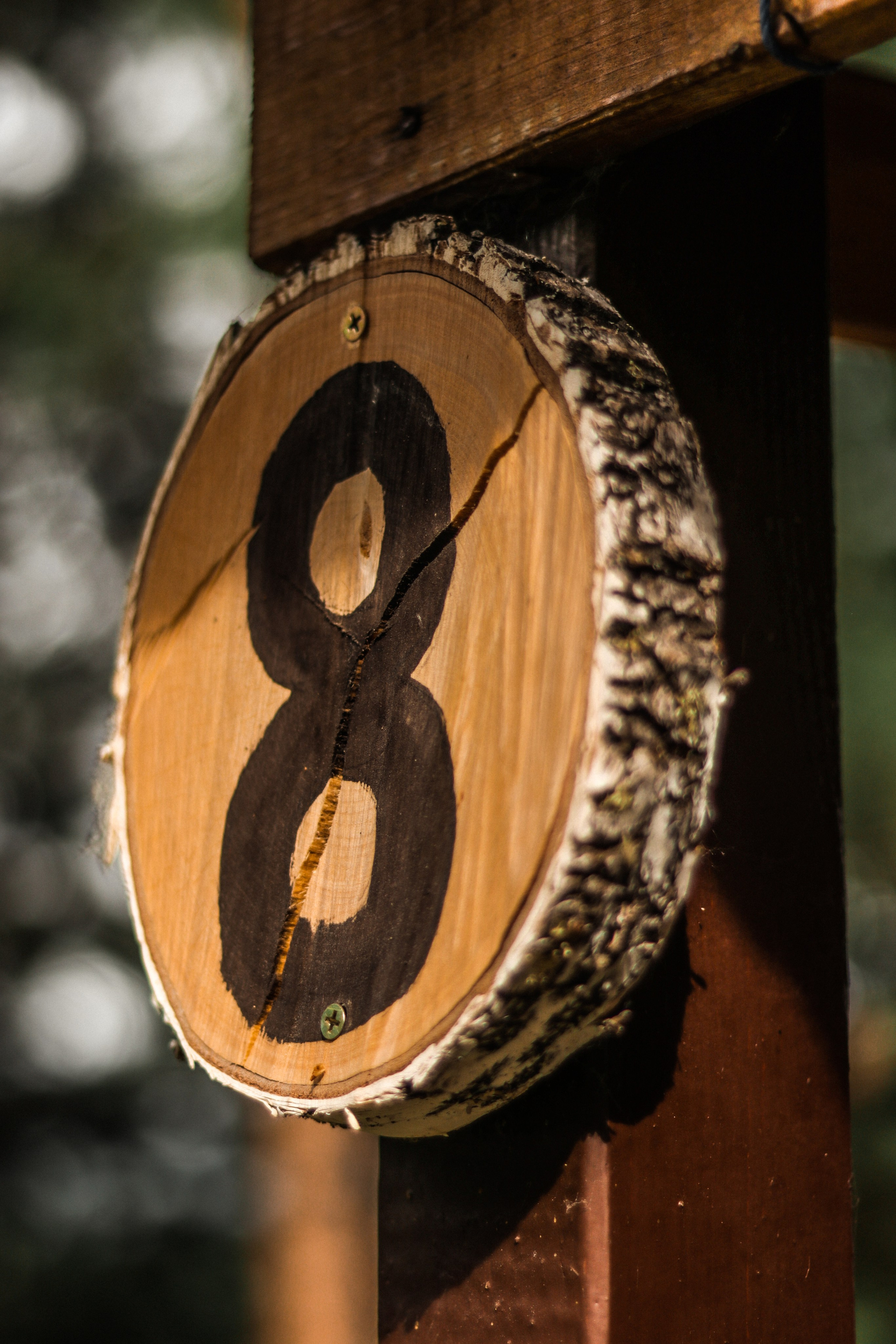 «Красный камень» база отдыха, респ. Алтай. Контент фотограф Дмитрий Борисов