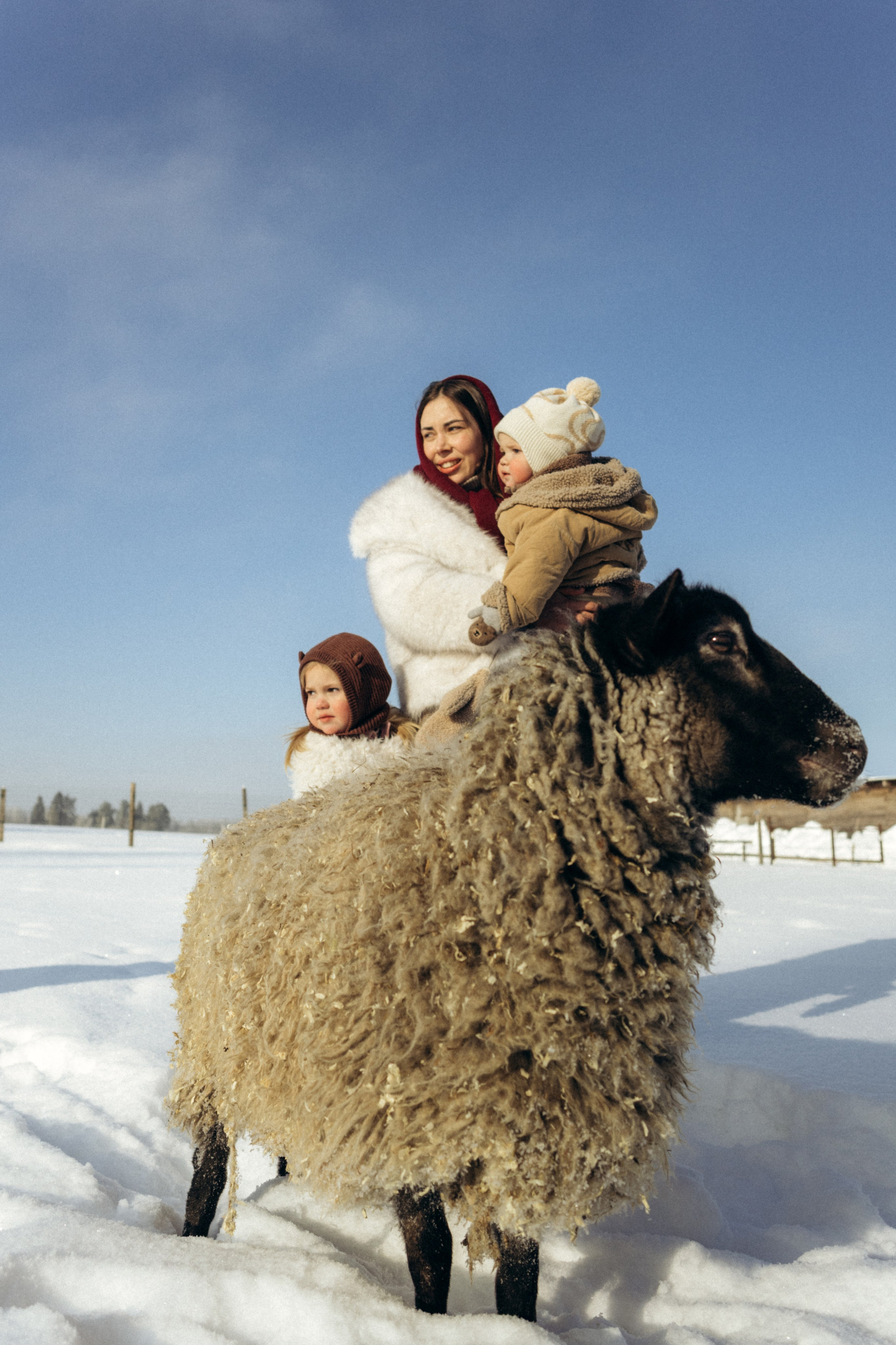 Настя с Сашей и Полей на ферме. Klerout Photographer