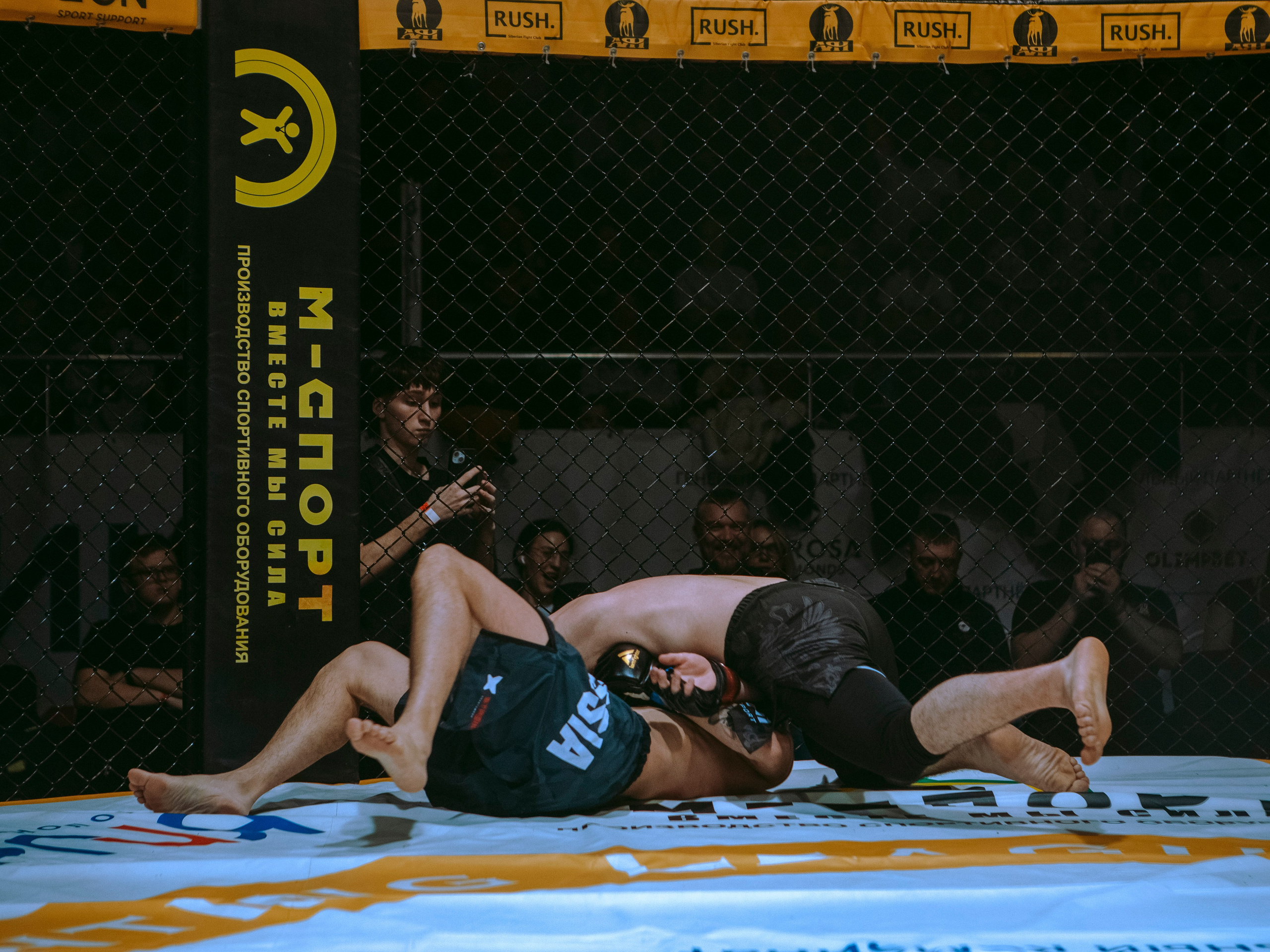 SFL 17 | Siberian Fighting League. Портретный фотограф в Москве Дарья Цезария