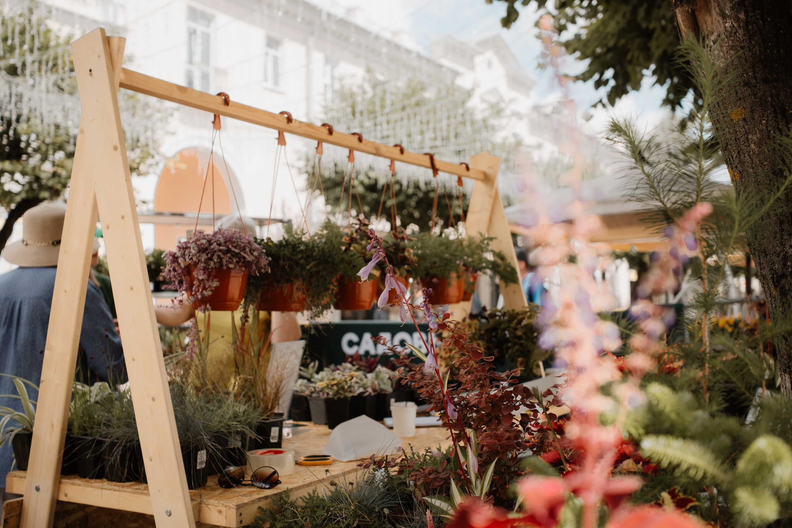 Фестивали — Смоленск 26.07.2025. KiPPER Gallery — Фотограф