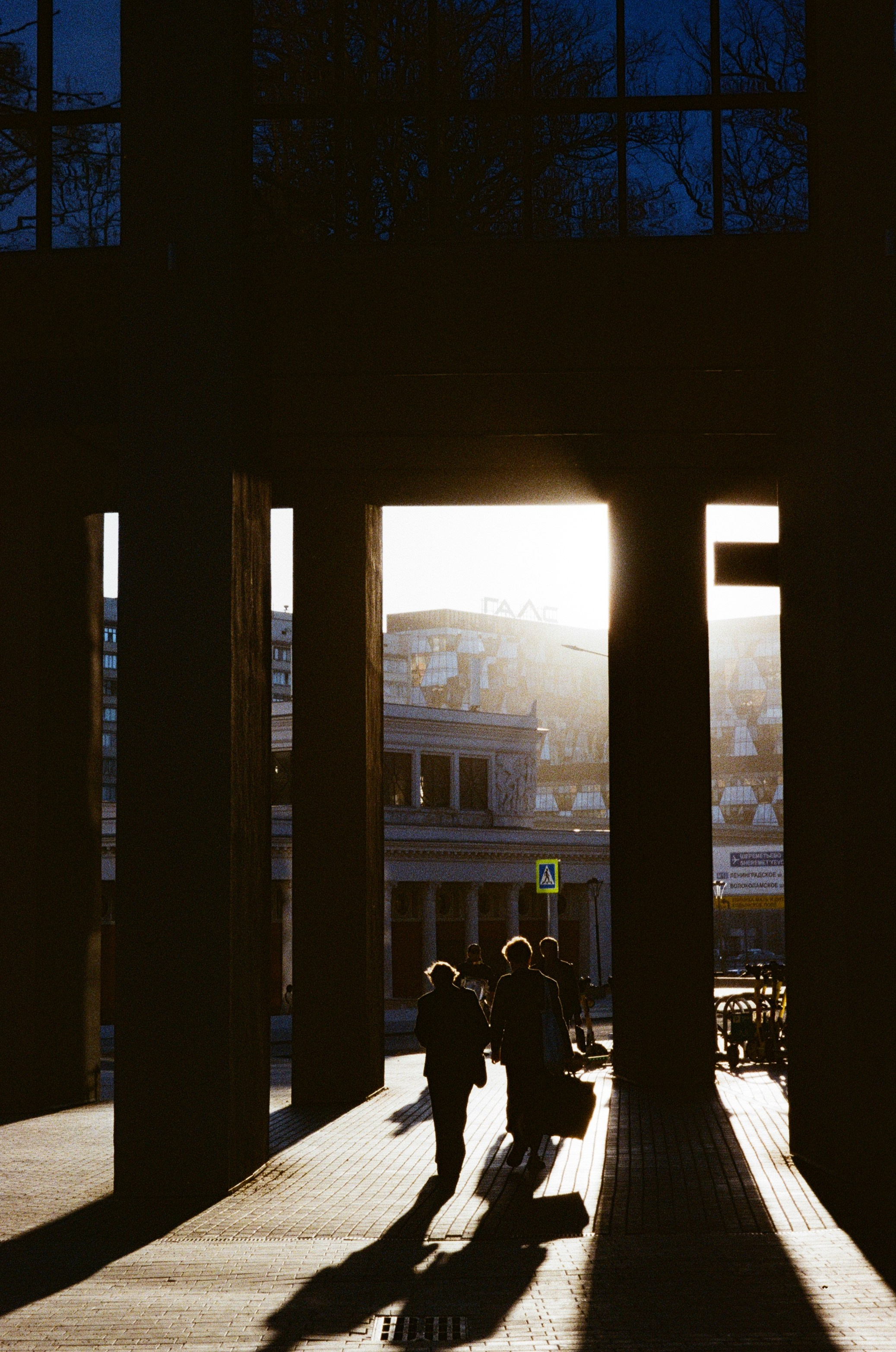 Автор: Александра Серебровская