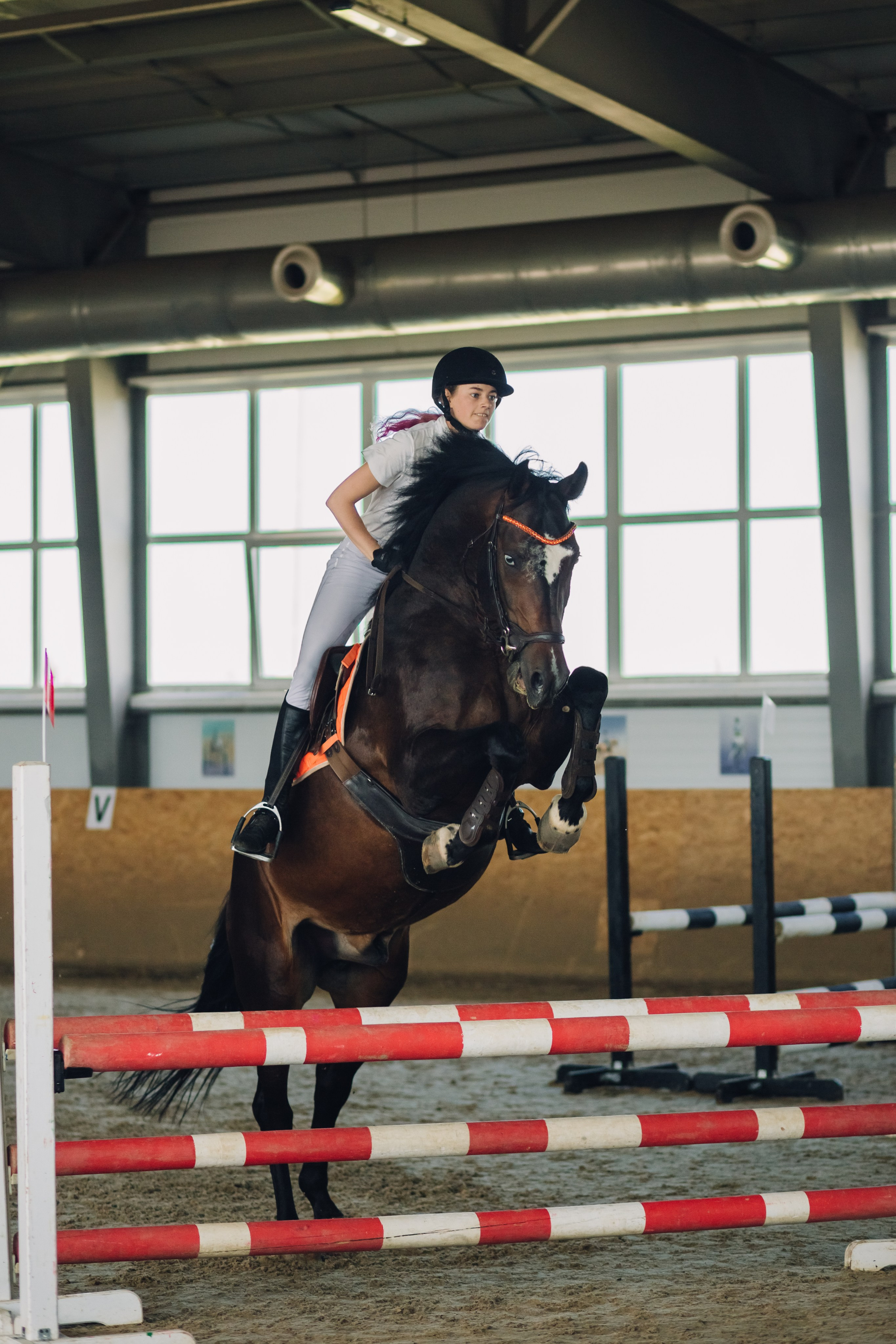 Соревнования. Ольга Белова. Портреты с лошадьми. Конная фотография