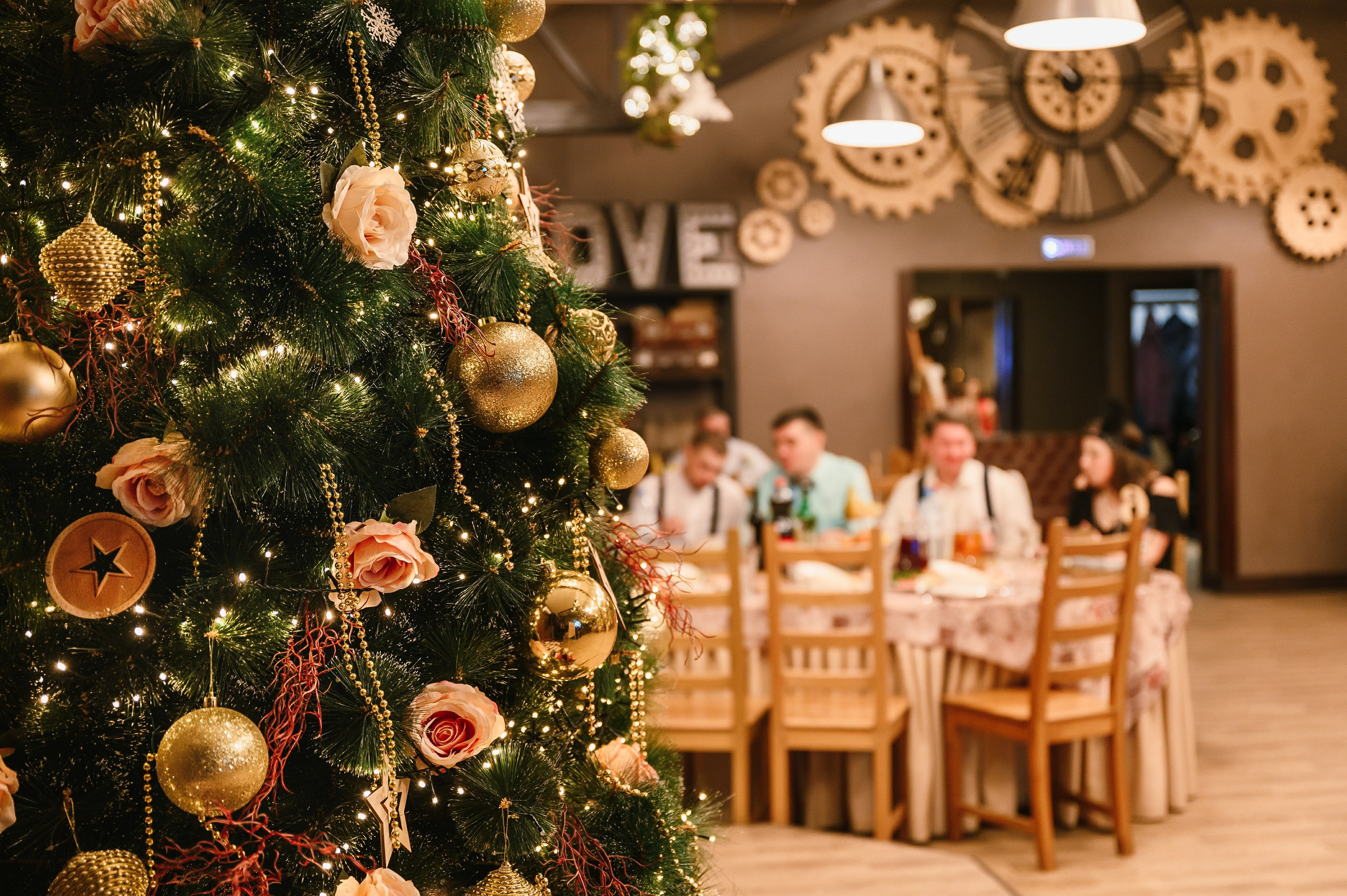 Новогодний корпоратив в «Алых парусах». Wedding and family photographer USA