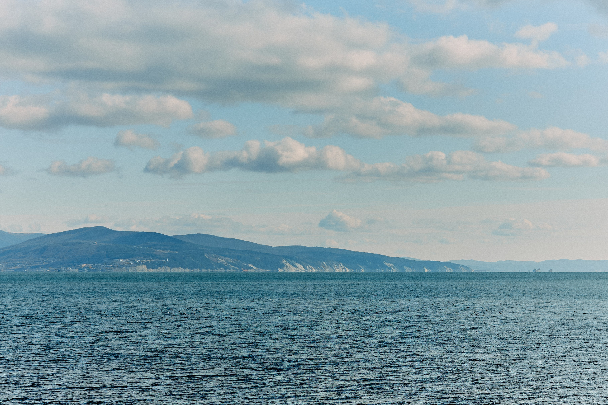 Юг России. Профессиональный Фотограф во Владимире, в Москве и в Суздале — Полина Романычева