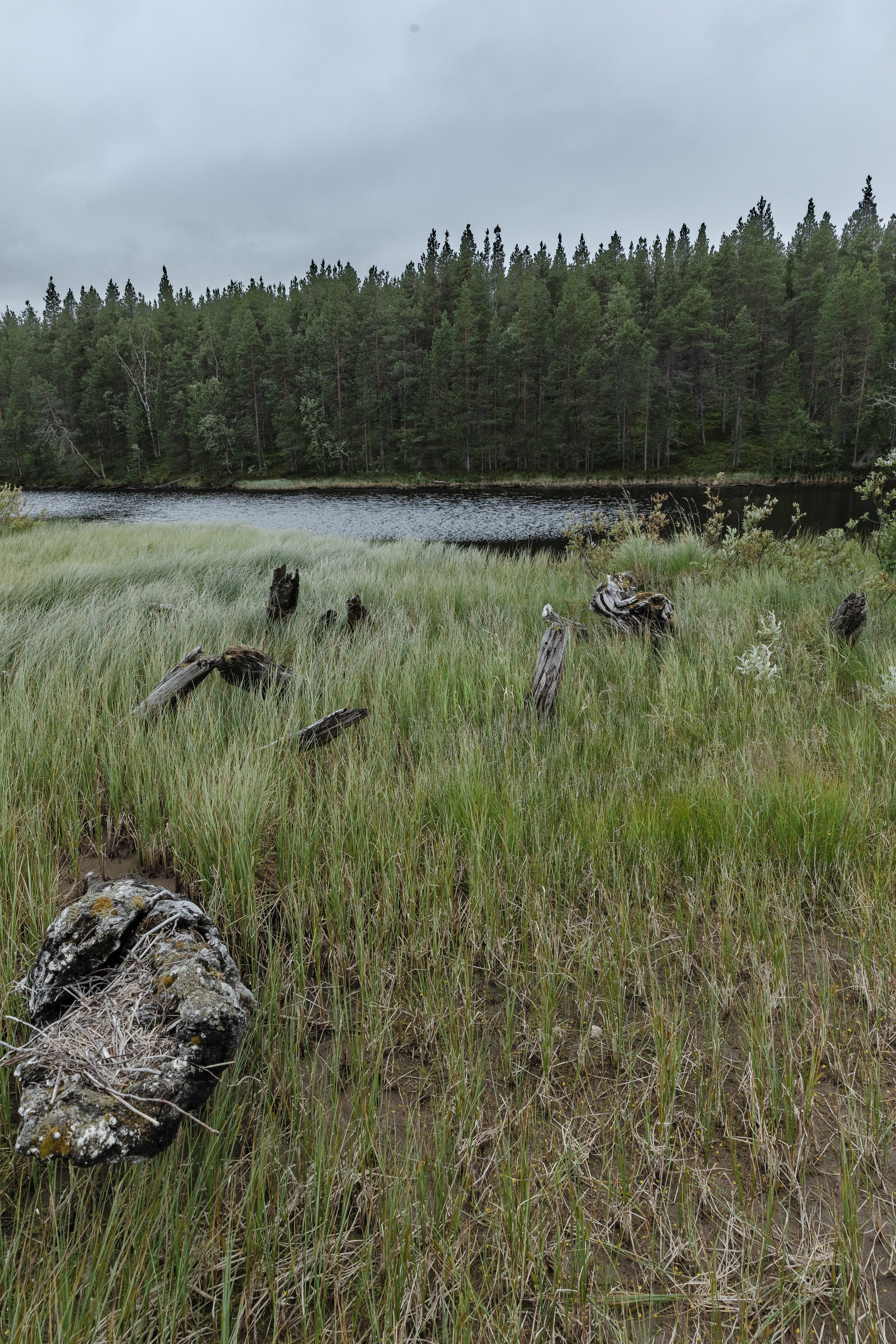 Оз. Колвицкое. Фотографии