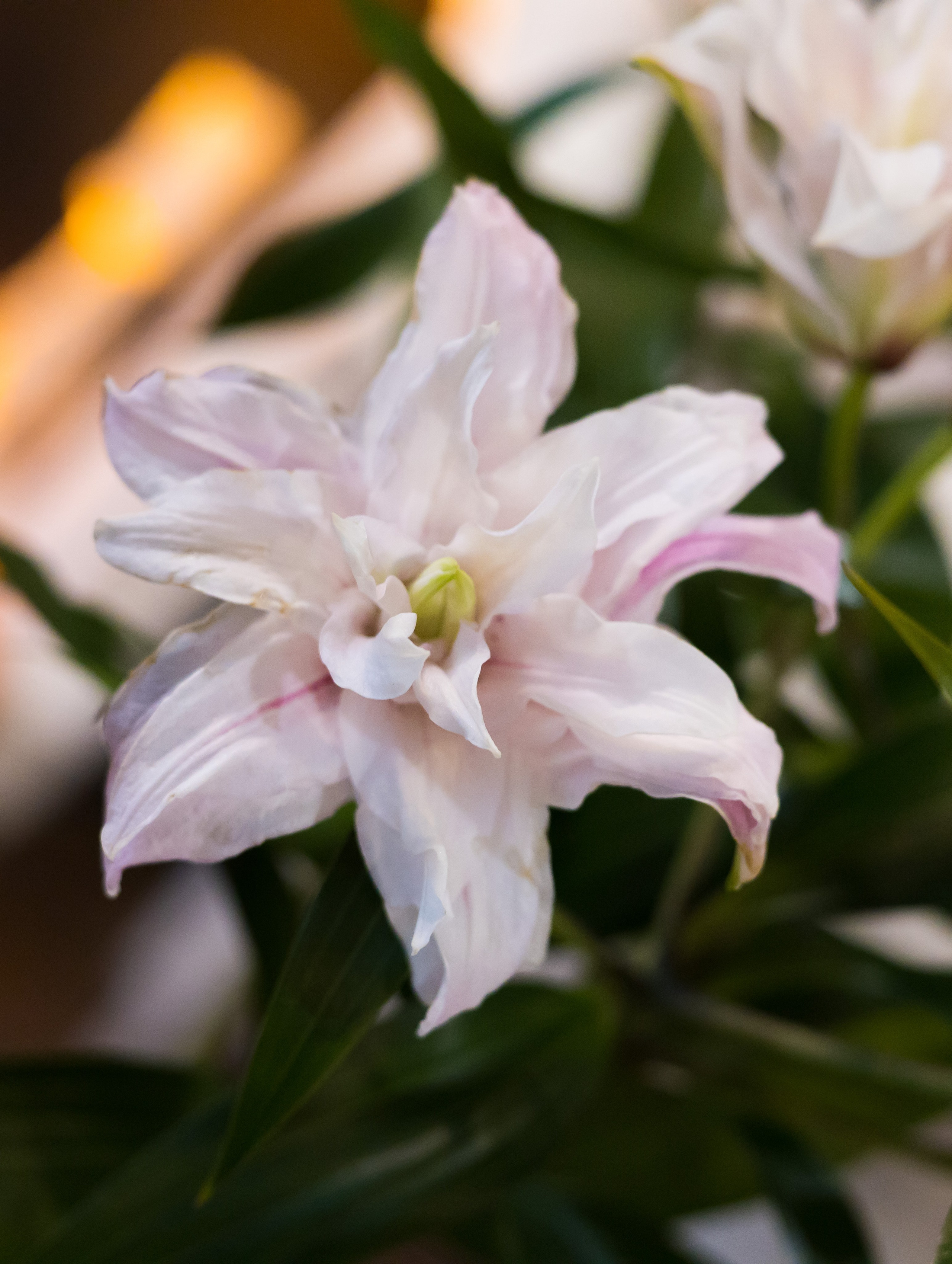 — День Рождения