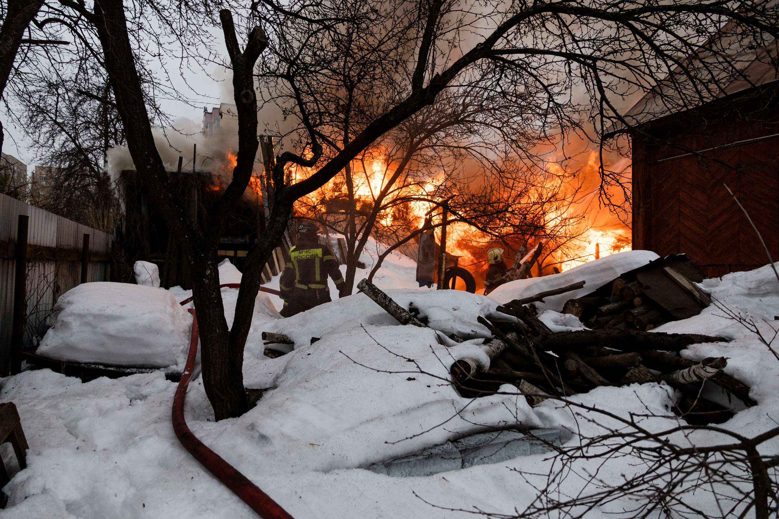 Часть. DASHA KALNINA