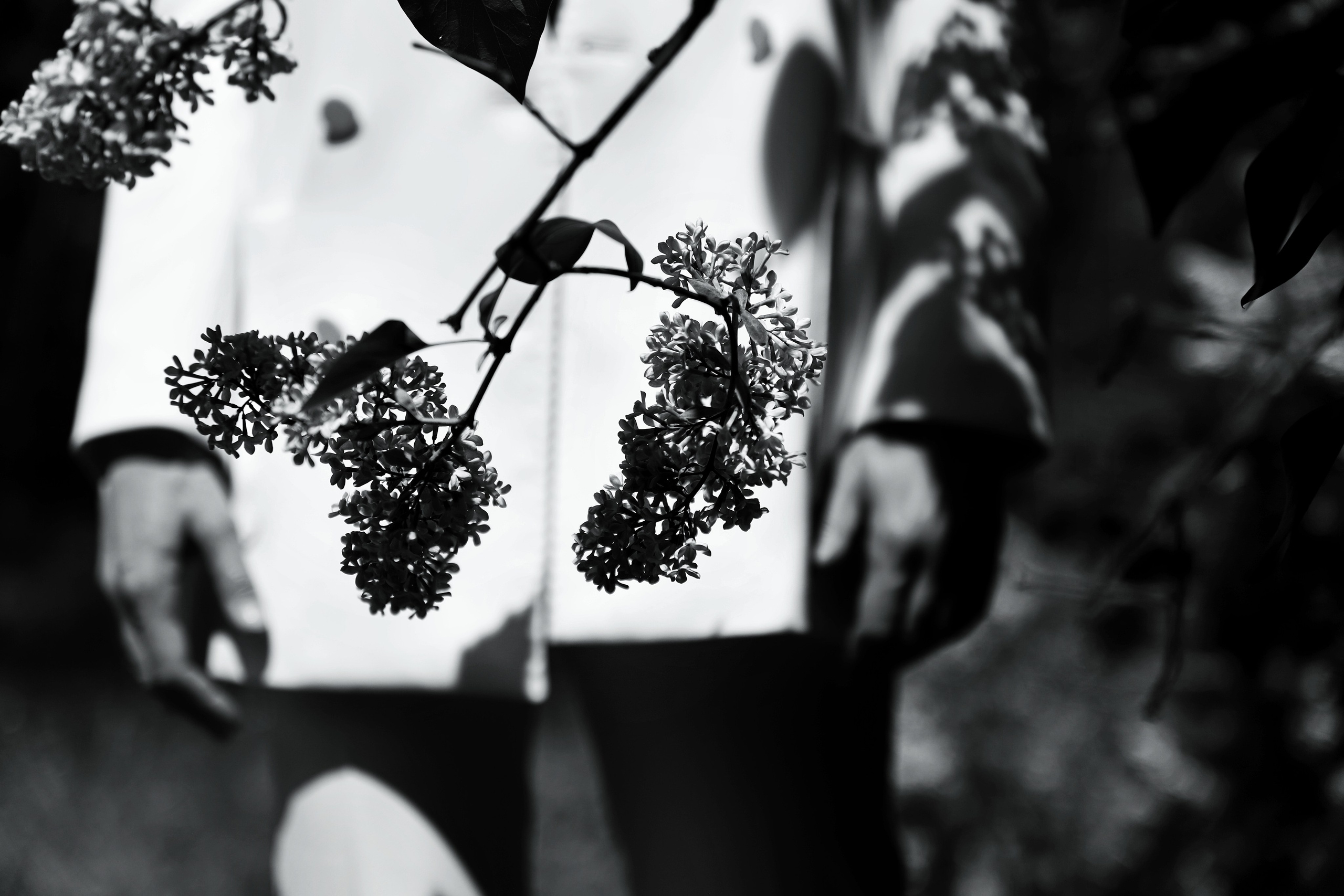 Портретное. Tatyana Mazok творческий фотограф в Минске