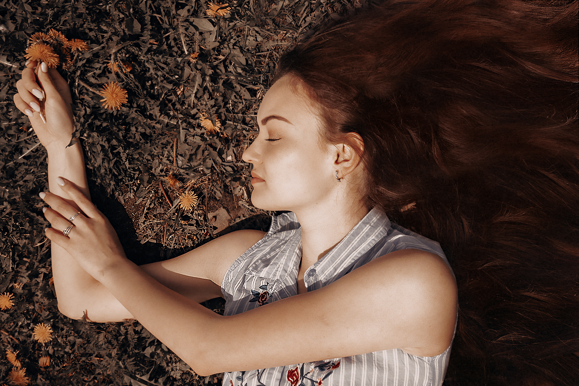 Петрозаводске, Москве, Санкт-Петербурге, 