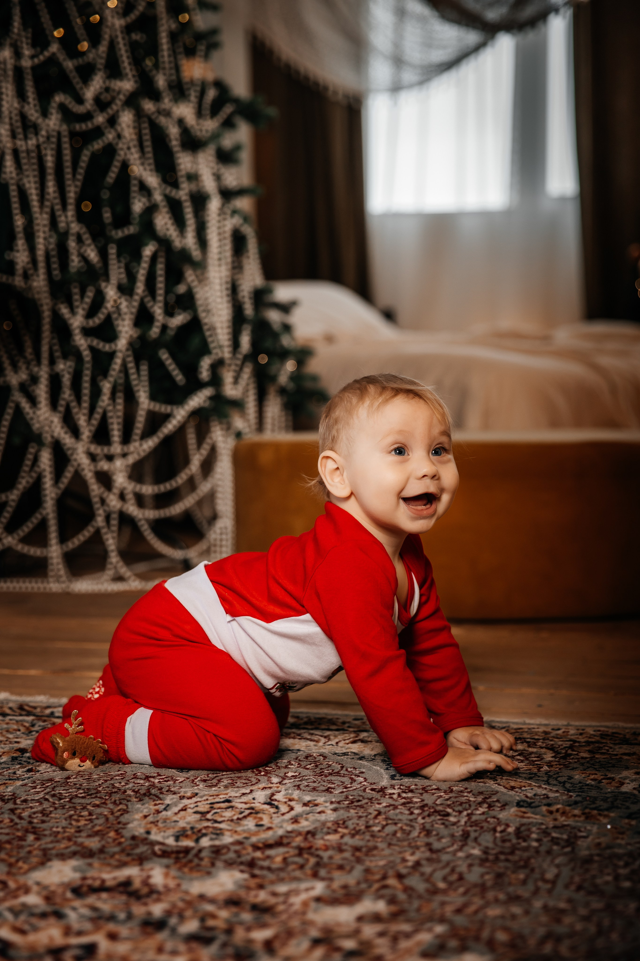 Новогодние. Фотограф Оксана Мамукаева г. Владикавказ