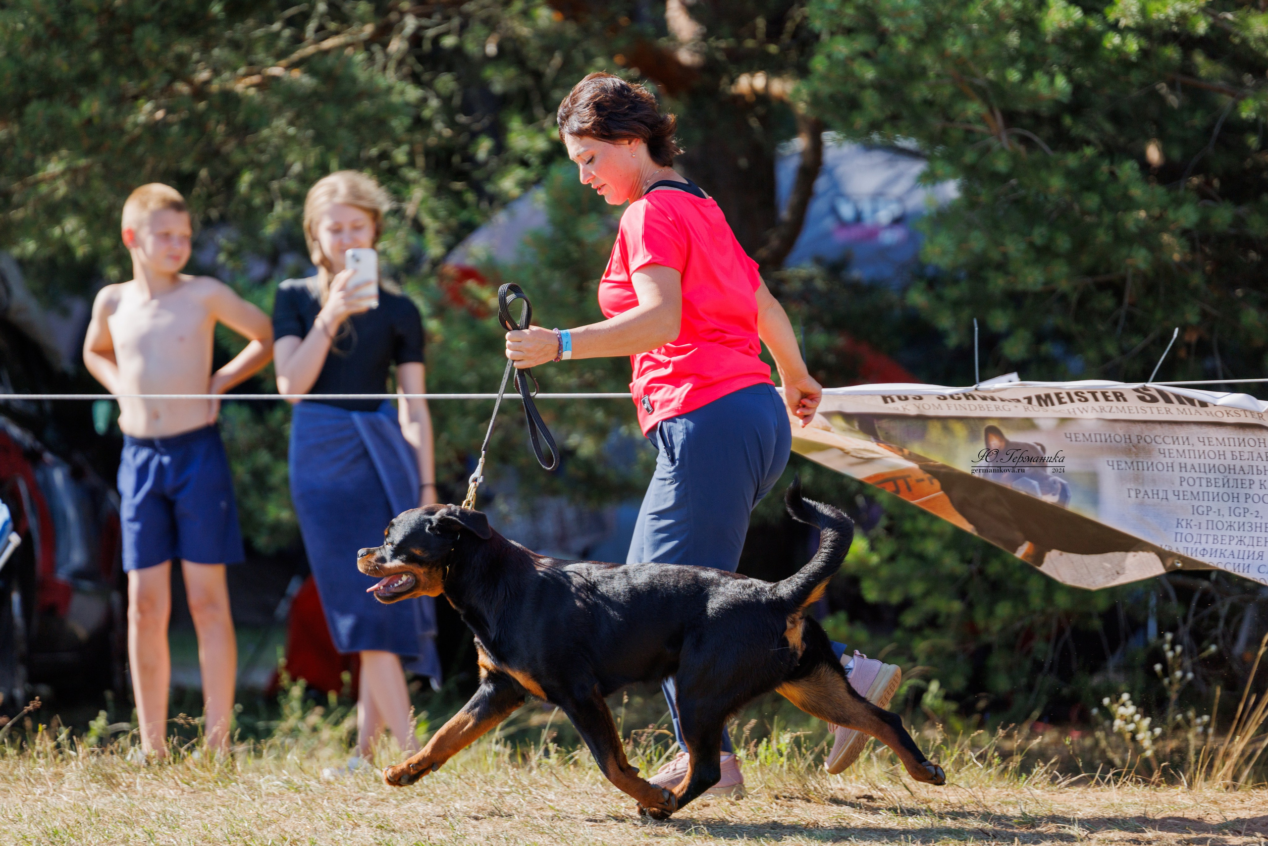 ПК и КЧК ротвейлеры Тверь 6-7.07.2024. Фотограф-анималист Юлия Германика