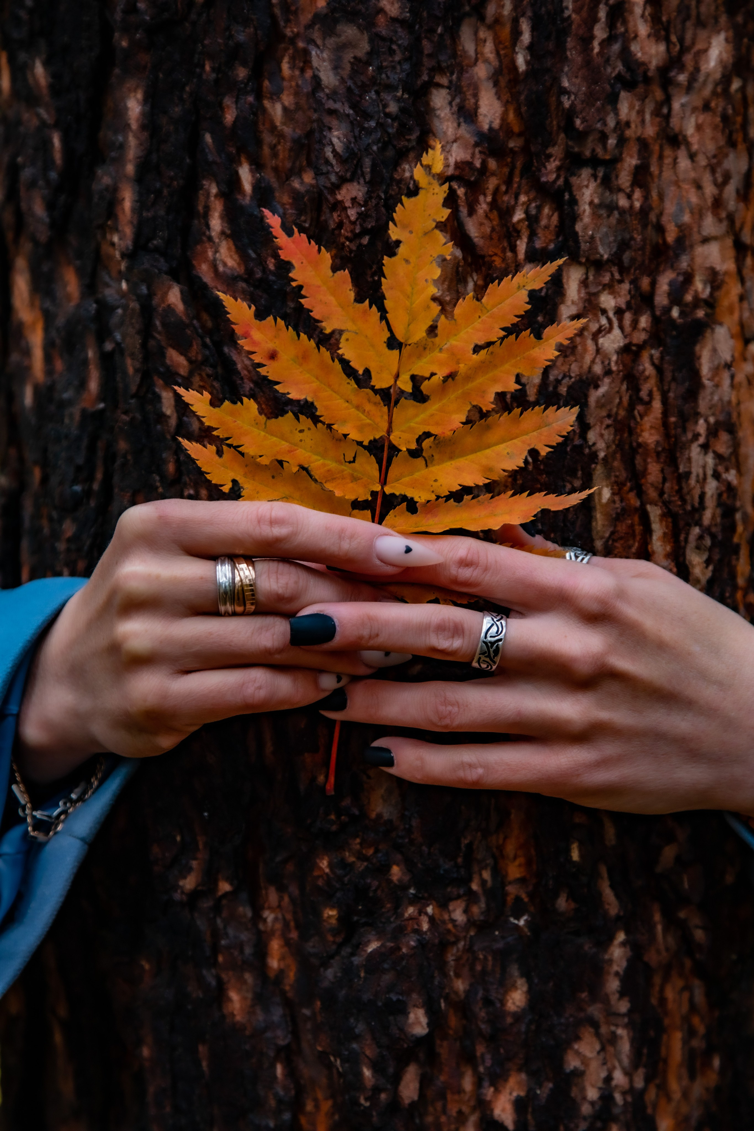 2024 год. Ваш фотограф в г. Ленск, Республика Саха (Якутия)