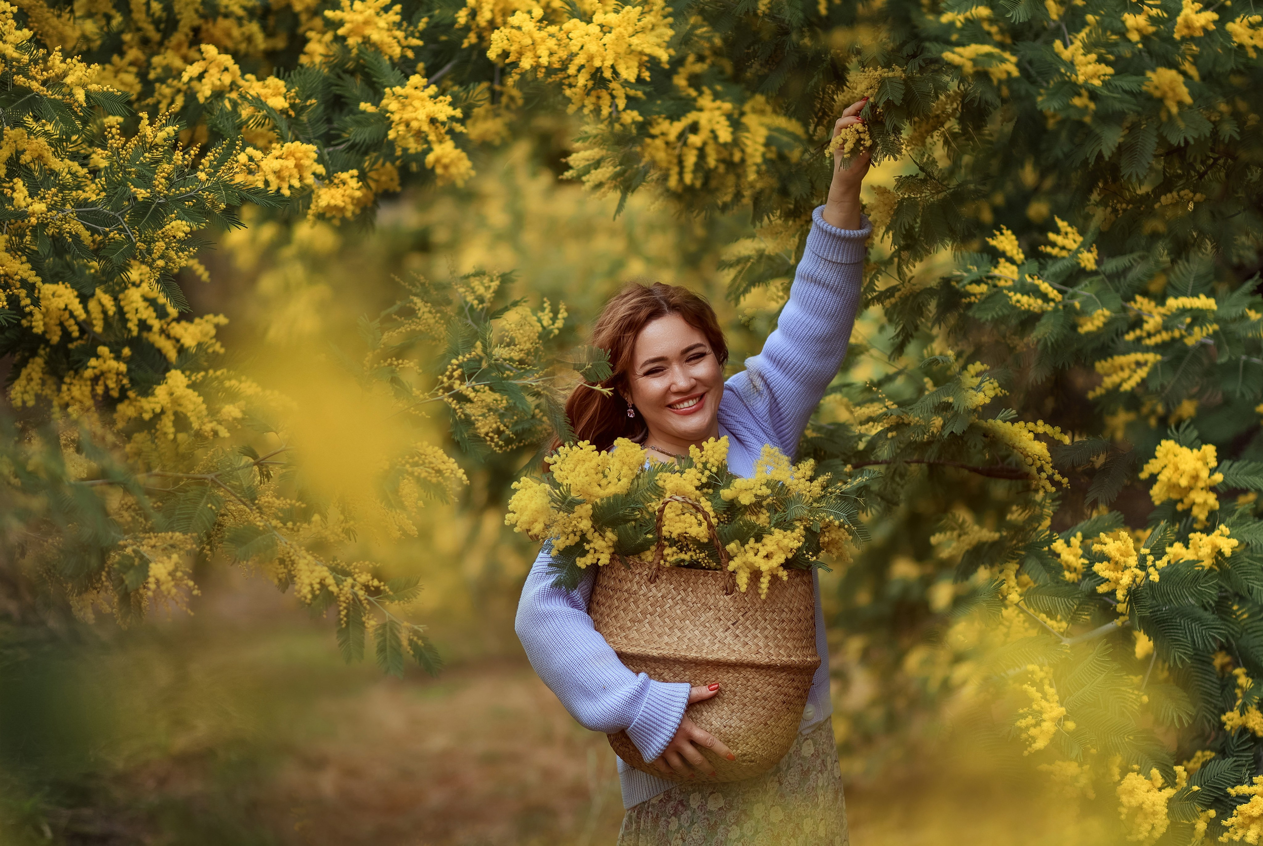 Мимоза. Фотограф в городе Сочи