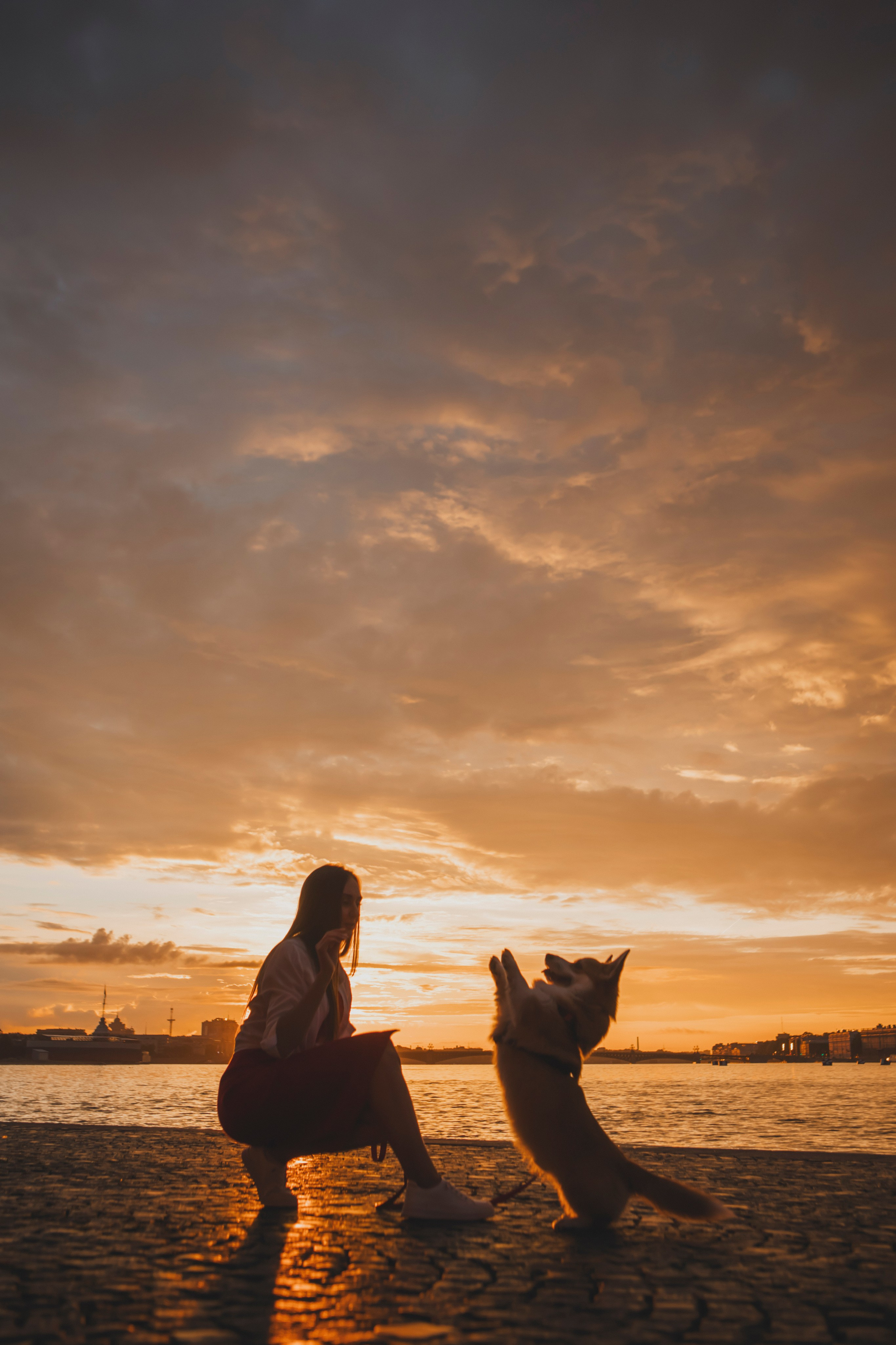 Настя и Стёпа. Фотограф-анималист в Санкт-Петербурге Алина Яхонт