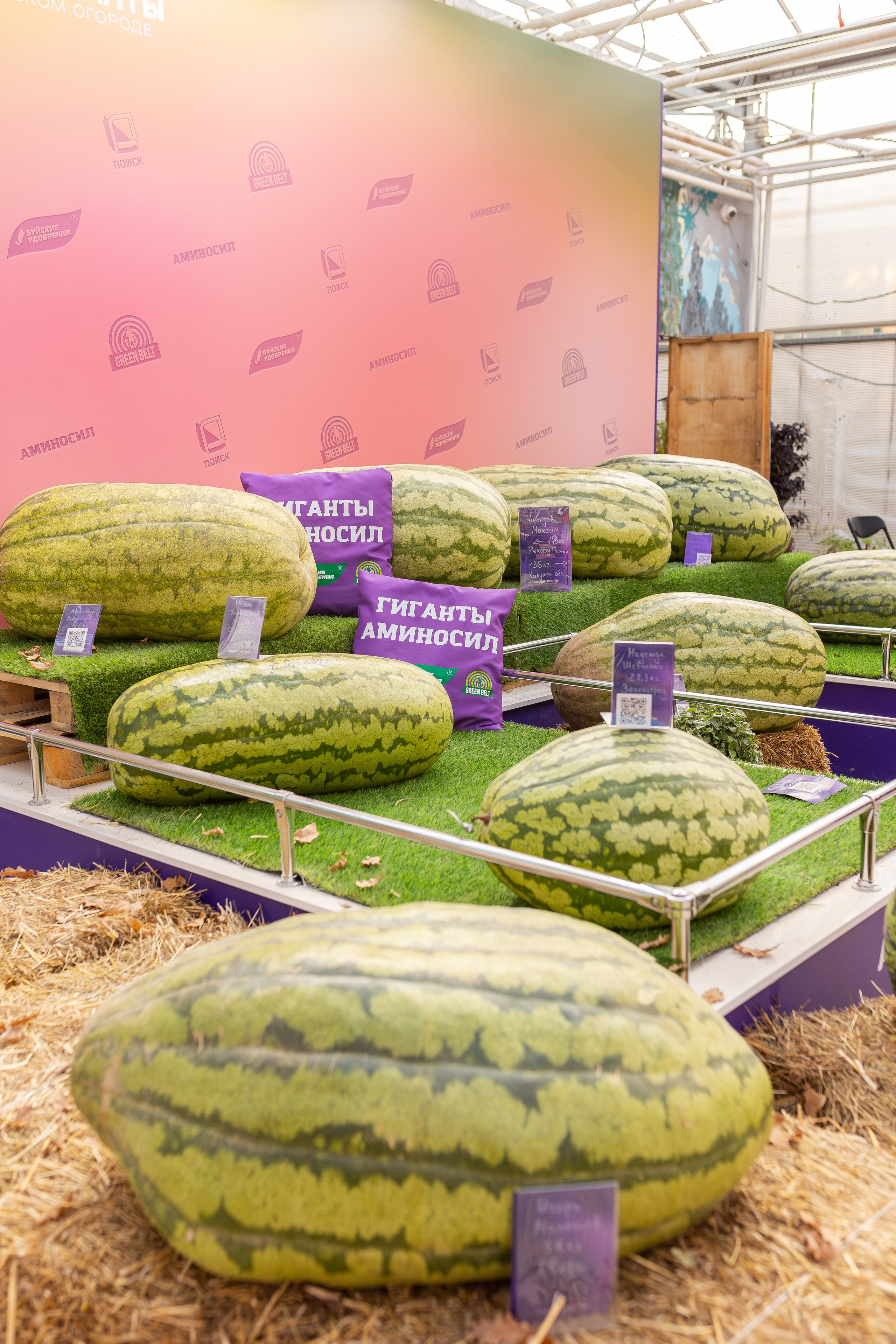 Овощи-гиганты. Александра Куликова фотограф, Москва