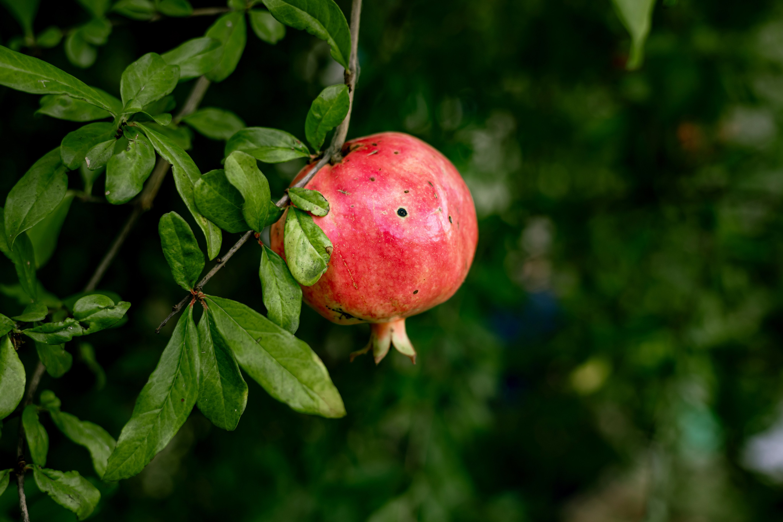 Travel. Индивидуальная и семейная съёмка. Москва, Наталья Самохвалова