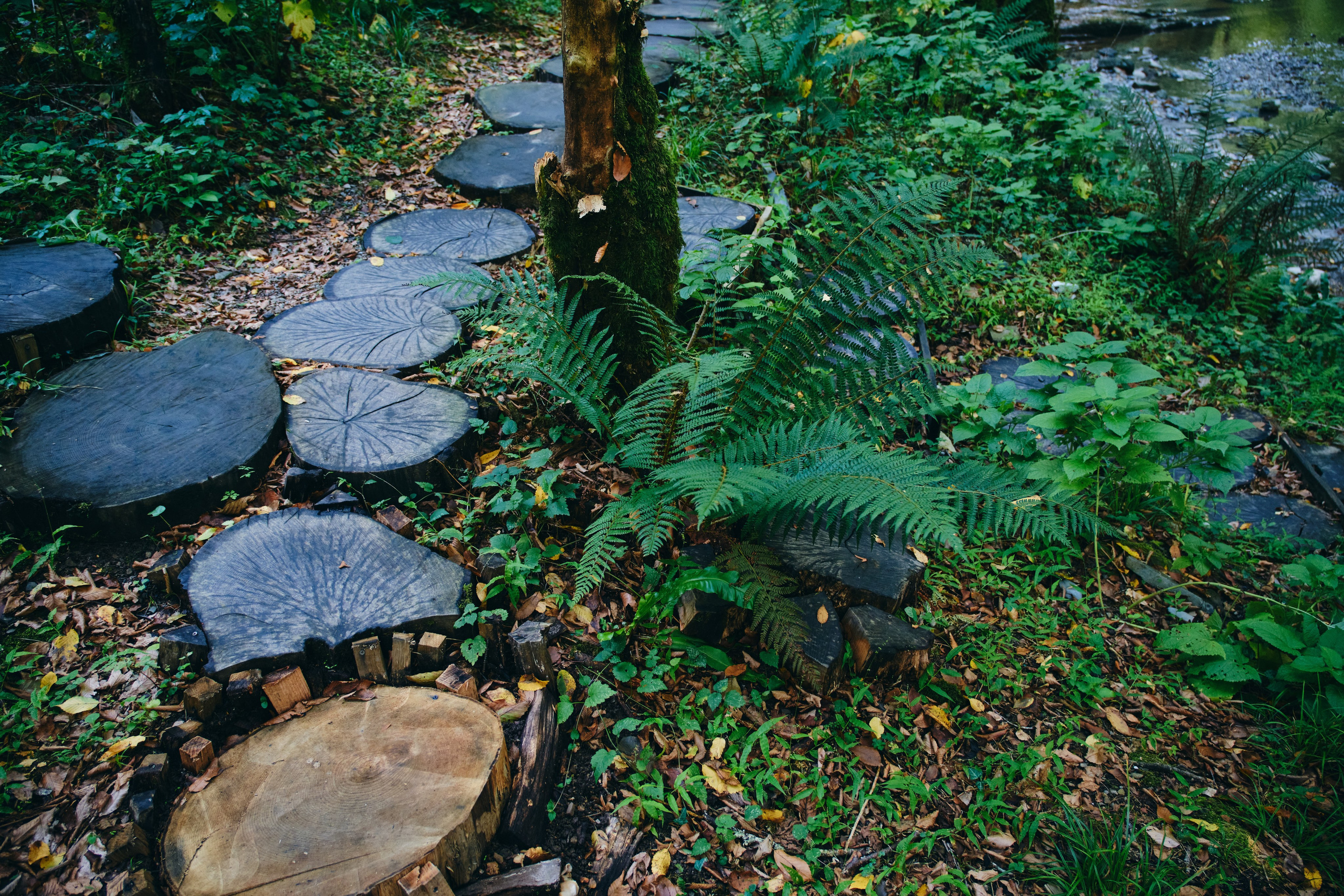 Сказочная свадьба Насти и Максима. Главная