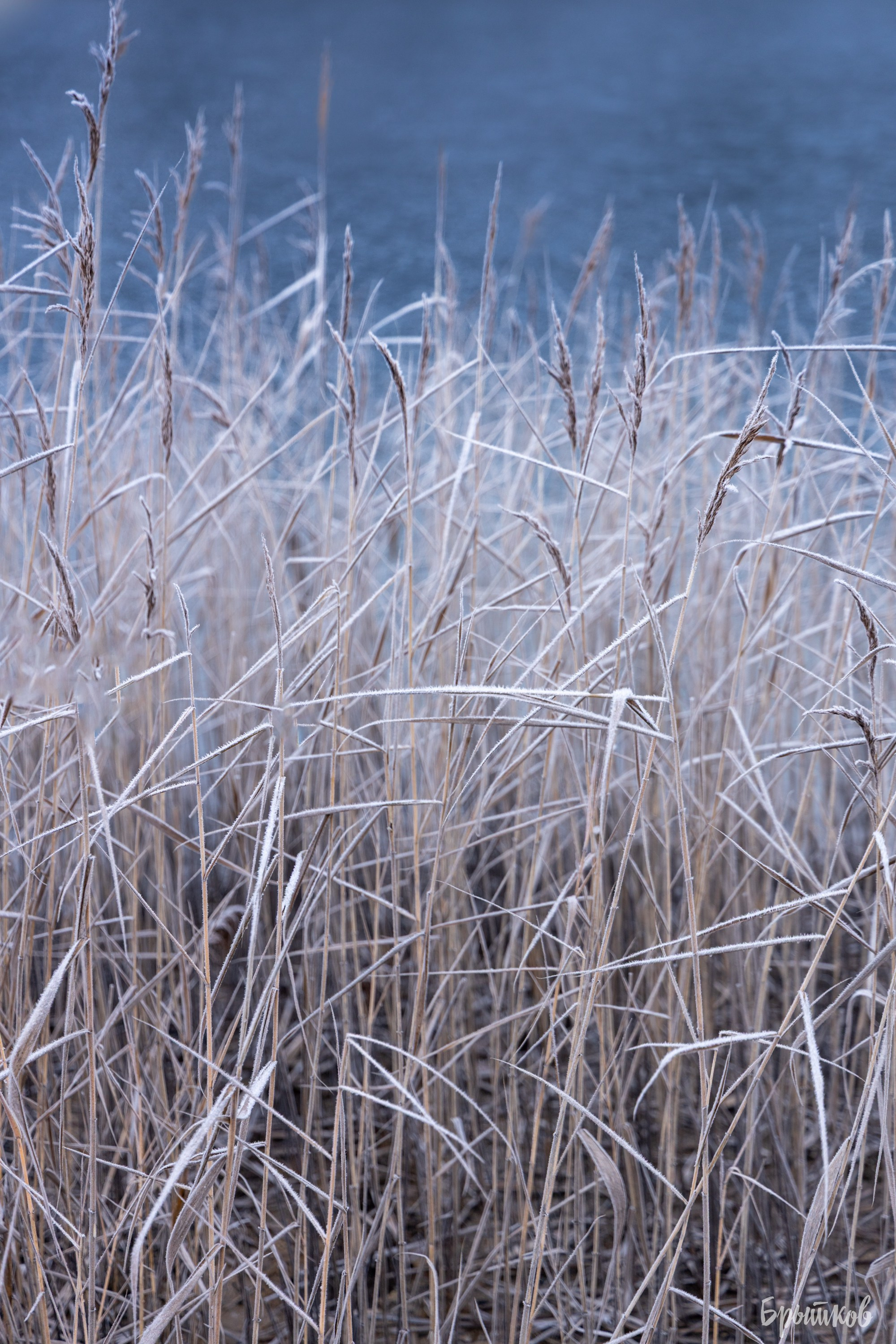 озеро Бам Суворов карьеры Брытков Николай