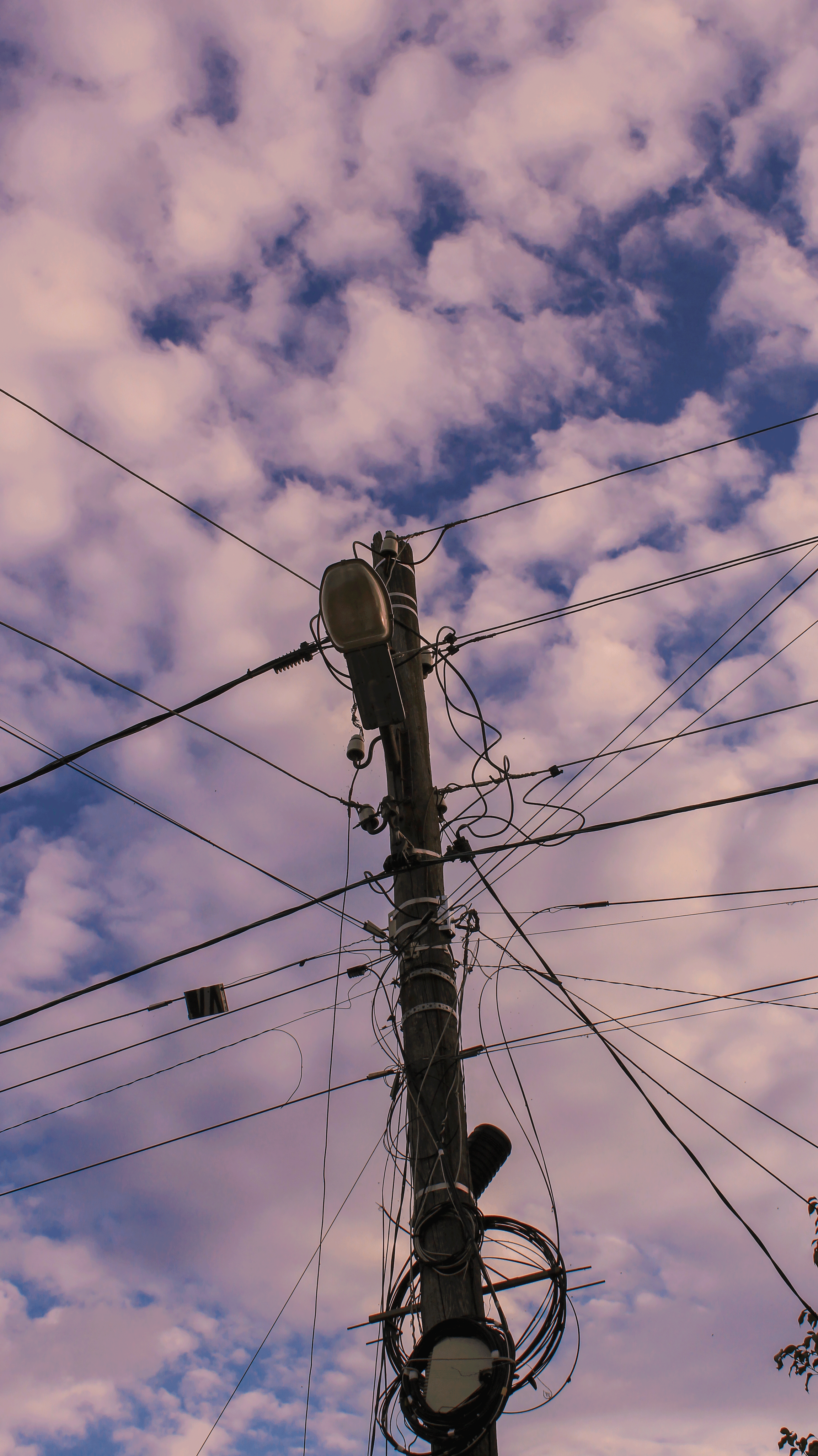 TMN summer '24. Фотограф/дизайнер в Екатеринбурге Хитрый Дмитрий