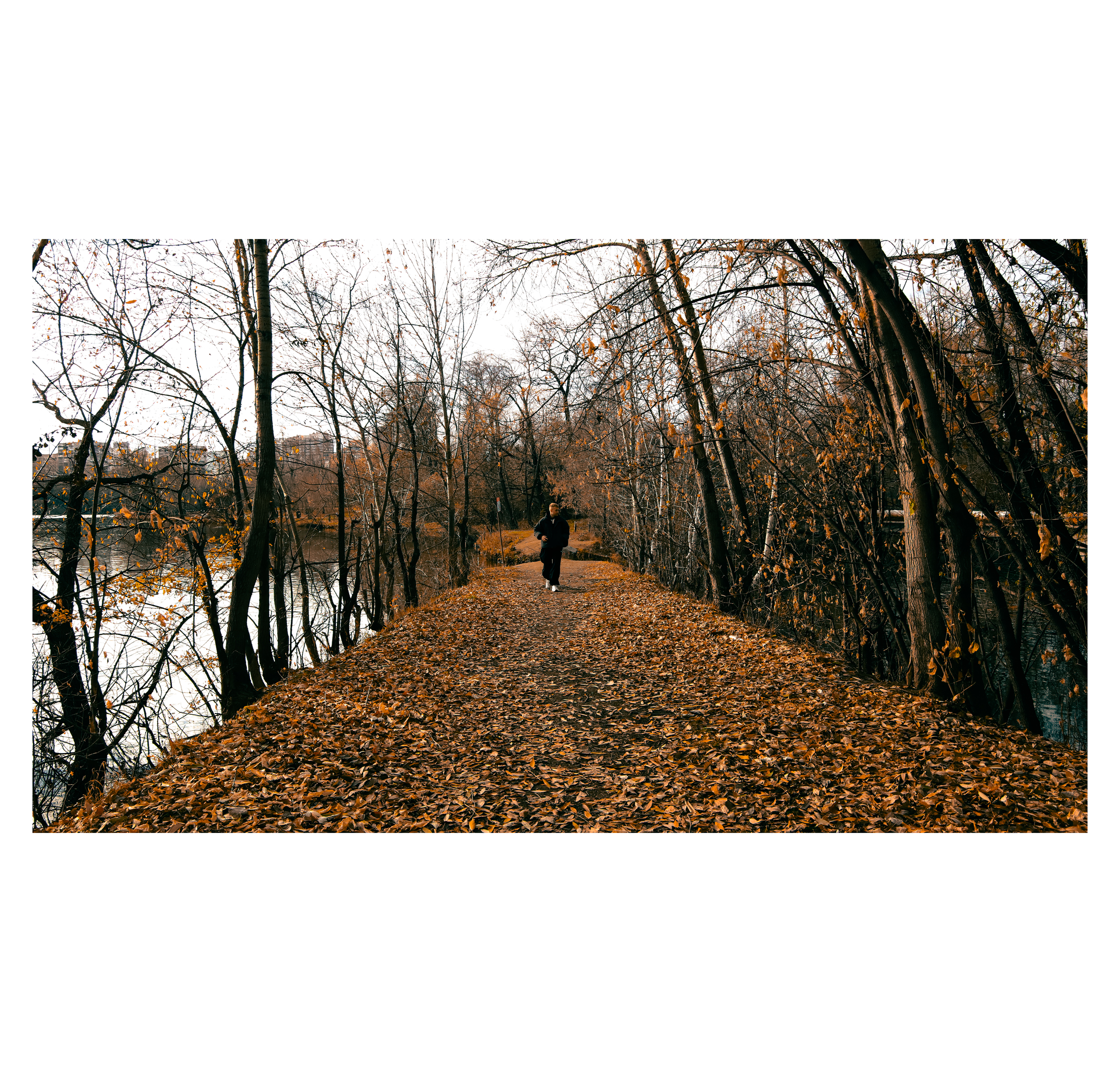 Shades of autumn. Фотограф/дизайнер в Екатеринбурге Хитрый Дмитрий