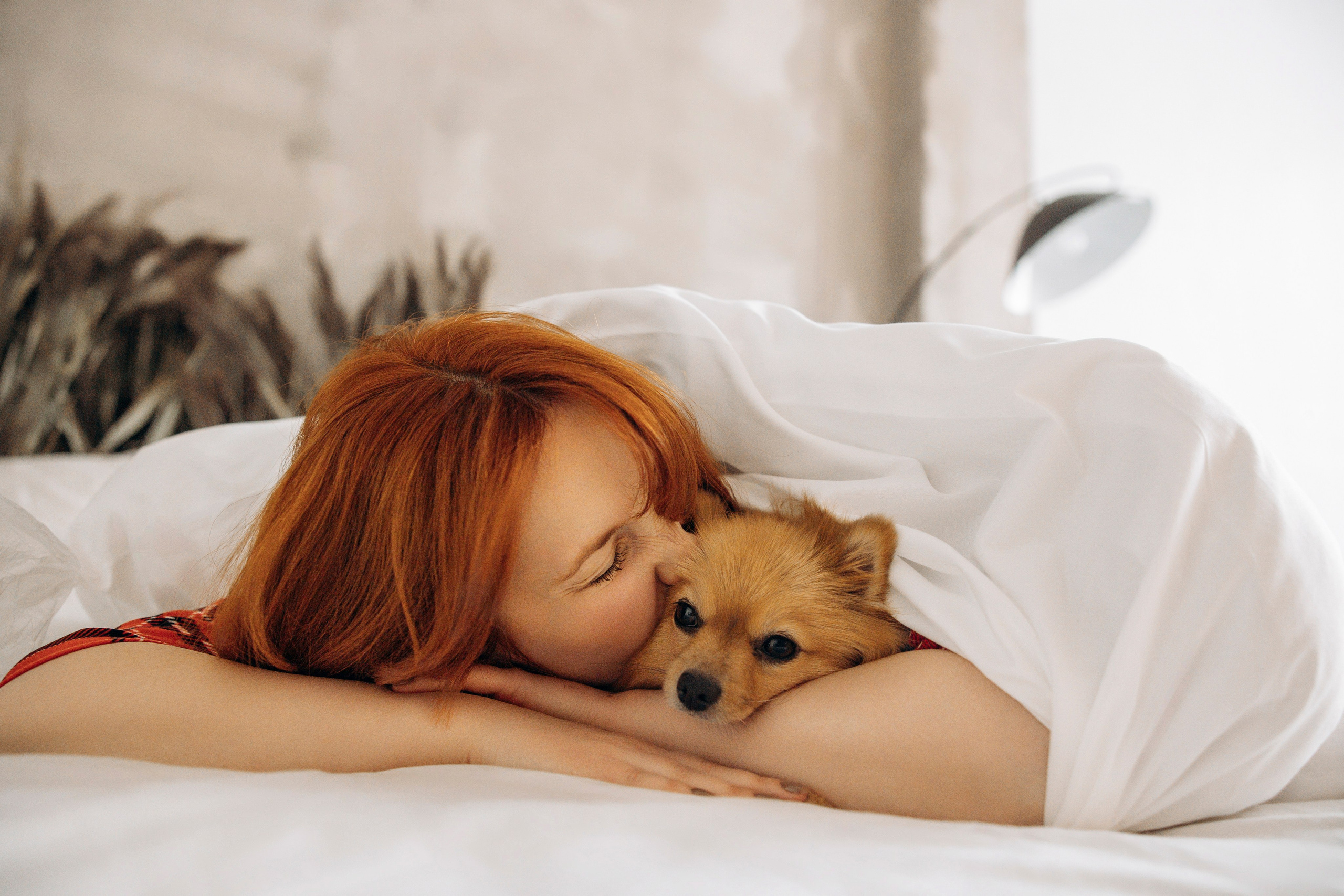 Съемка в студии с собакой. Анастасия Белаш