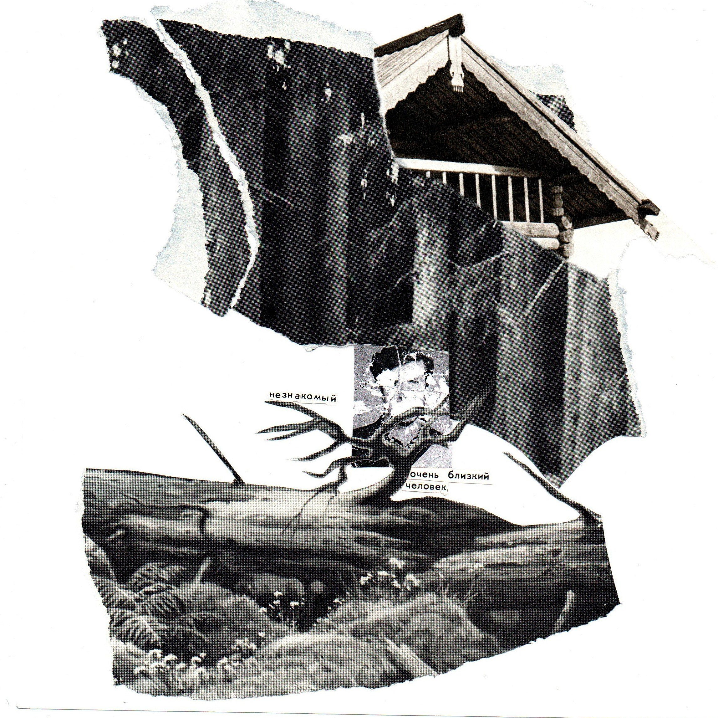 Коллажный дневник. Фотограф Анна Кирнос