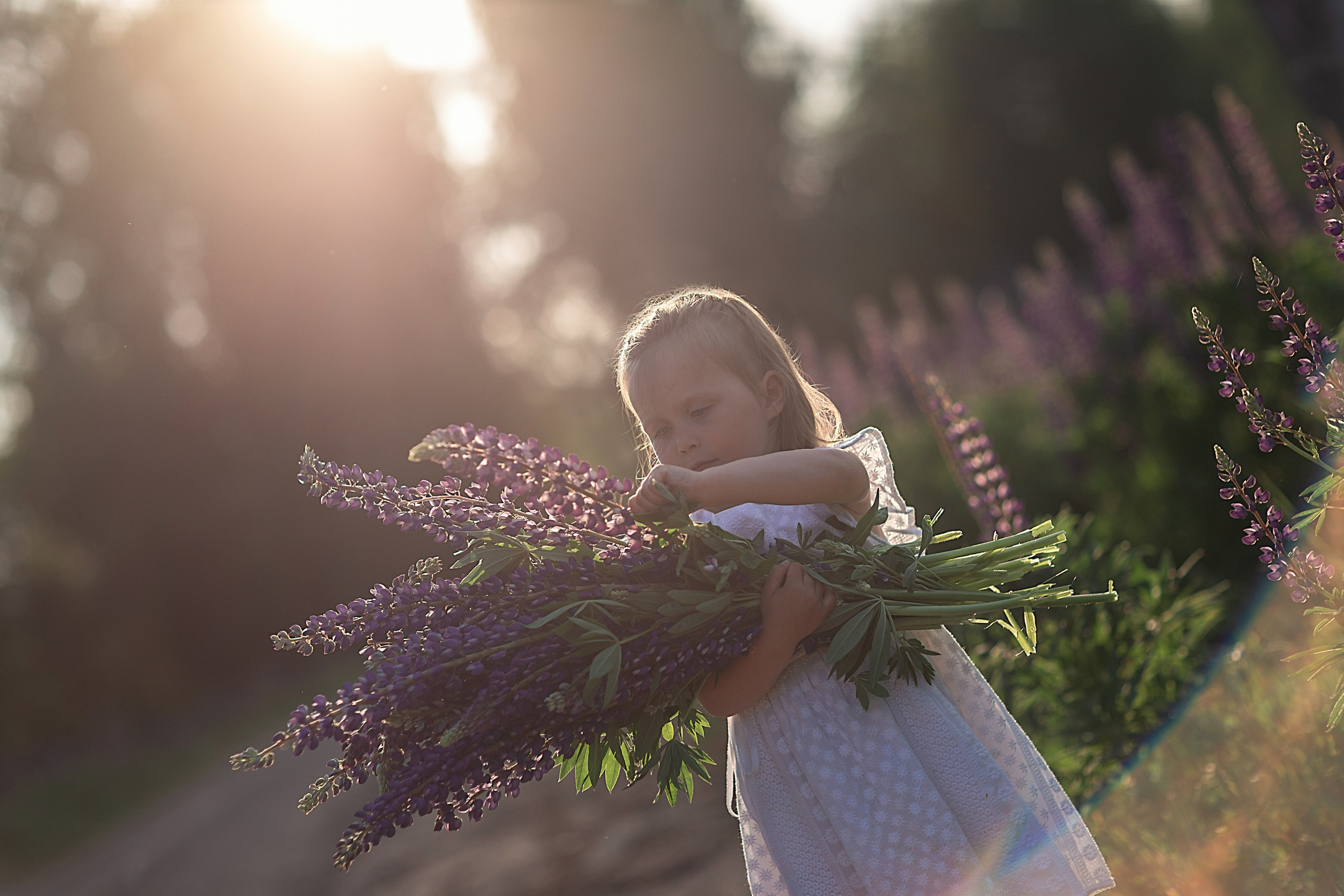 В люпинах_2023. Семейный фотограф в Санкт-Петербурге