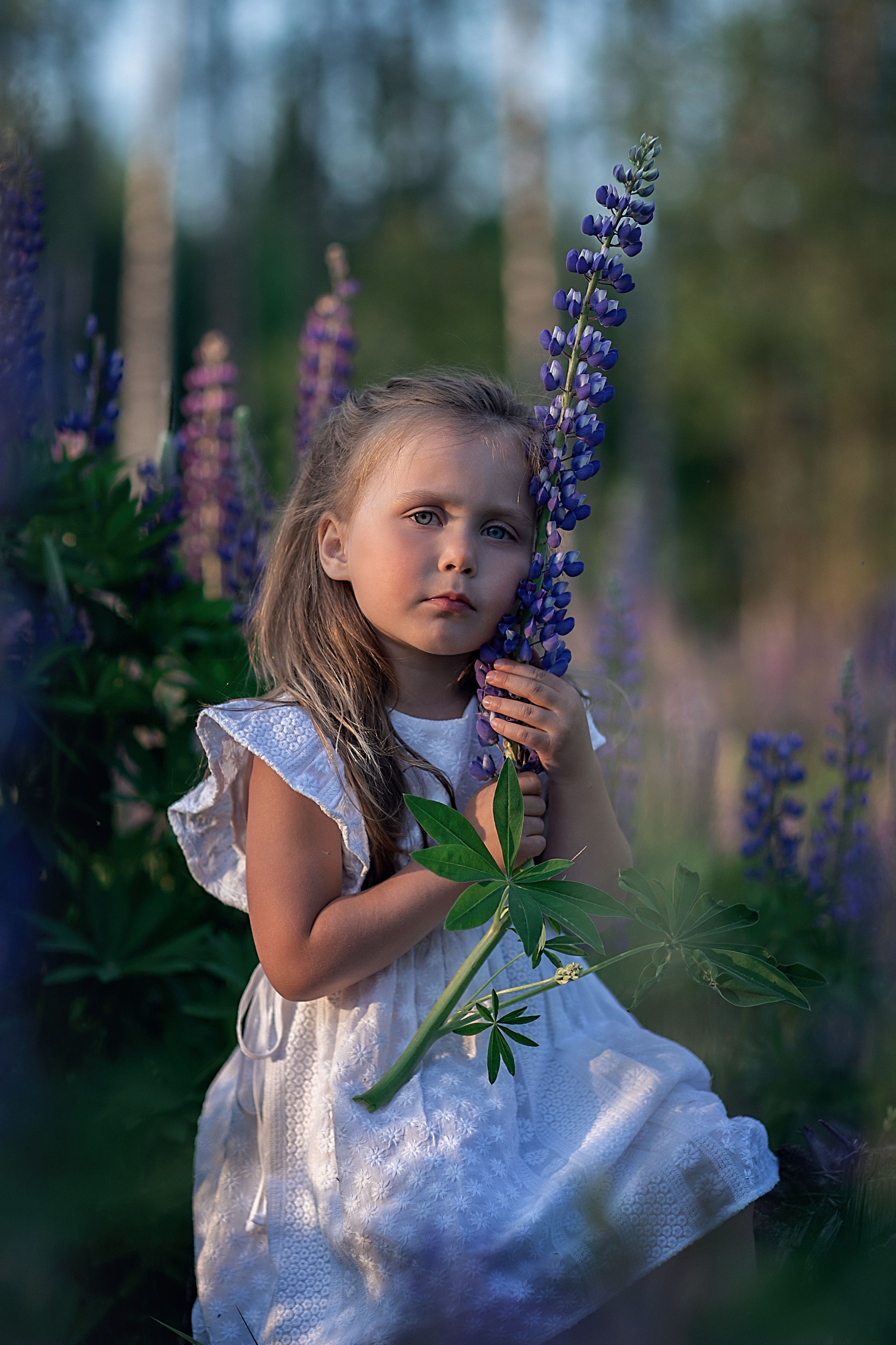 В люпинах_2023. Семейный фотограф в Санкт-Петербурге