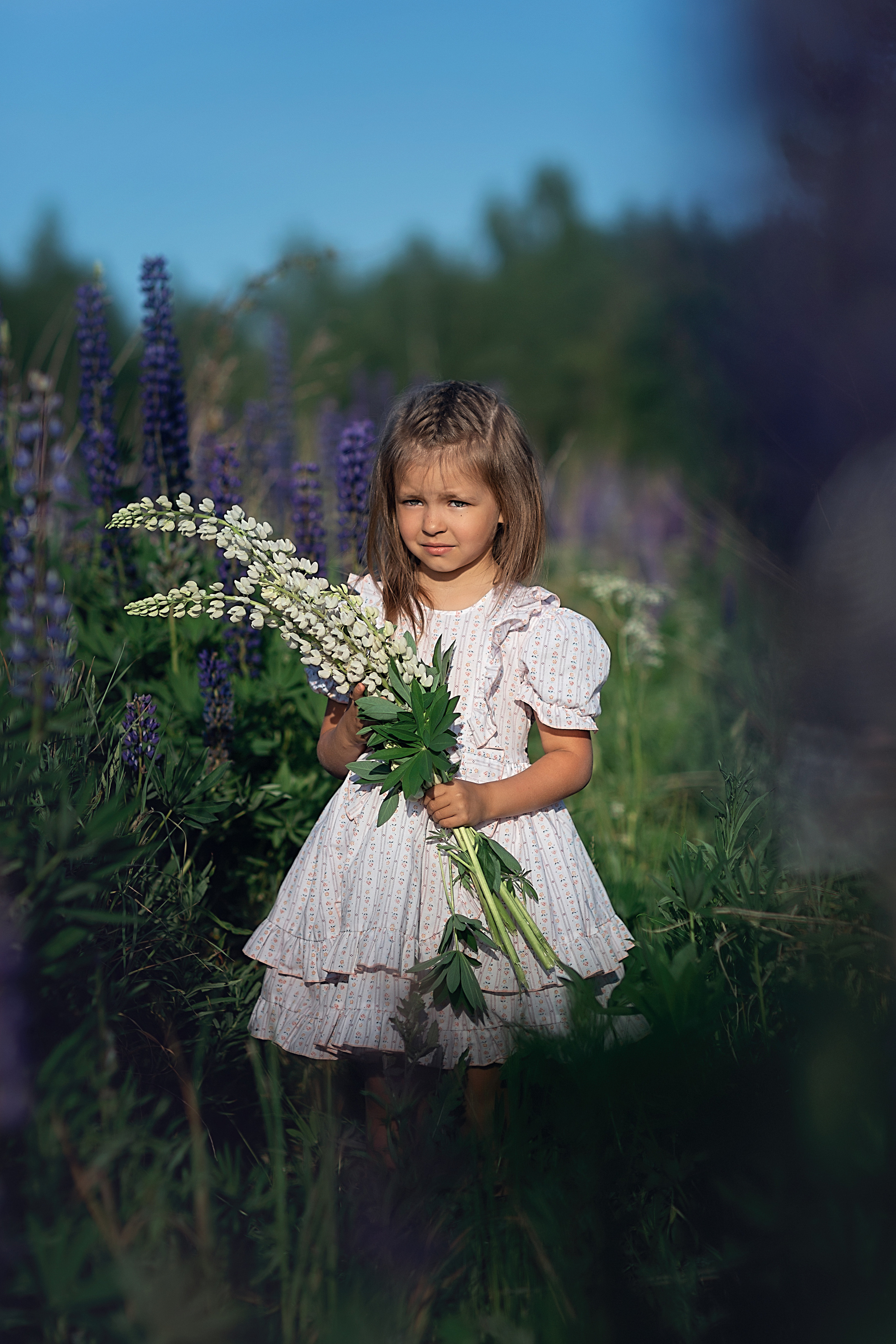 В люпинах_2023. Семейный фотограф в Санкт-Петербурге