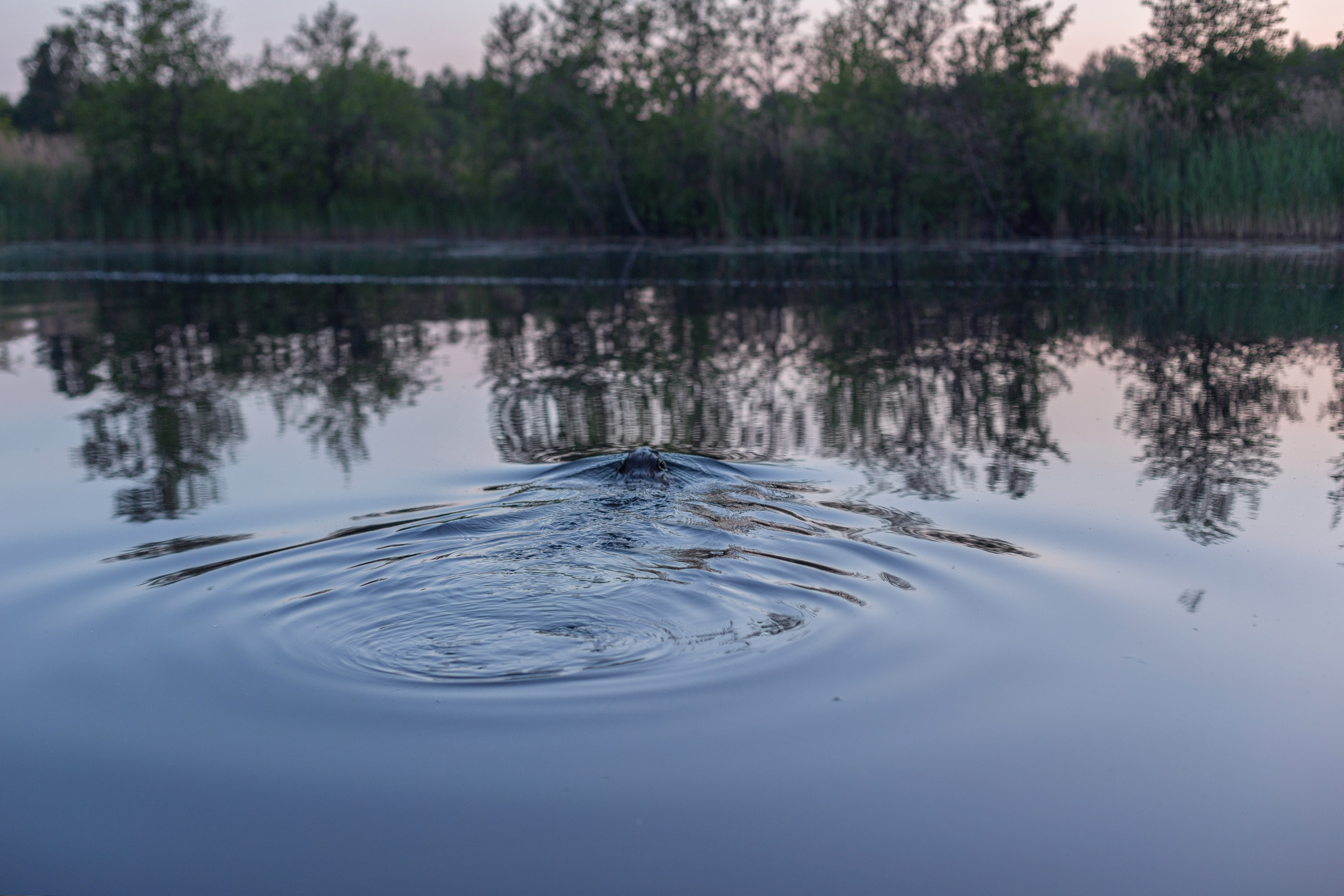 Рыбалка_2023. Семейный фотограф в Санкт-Петербурге