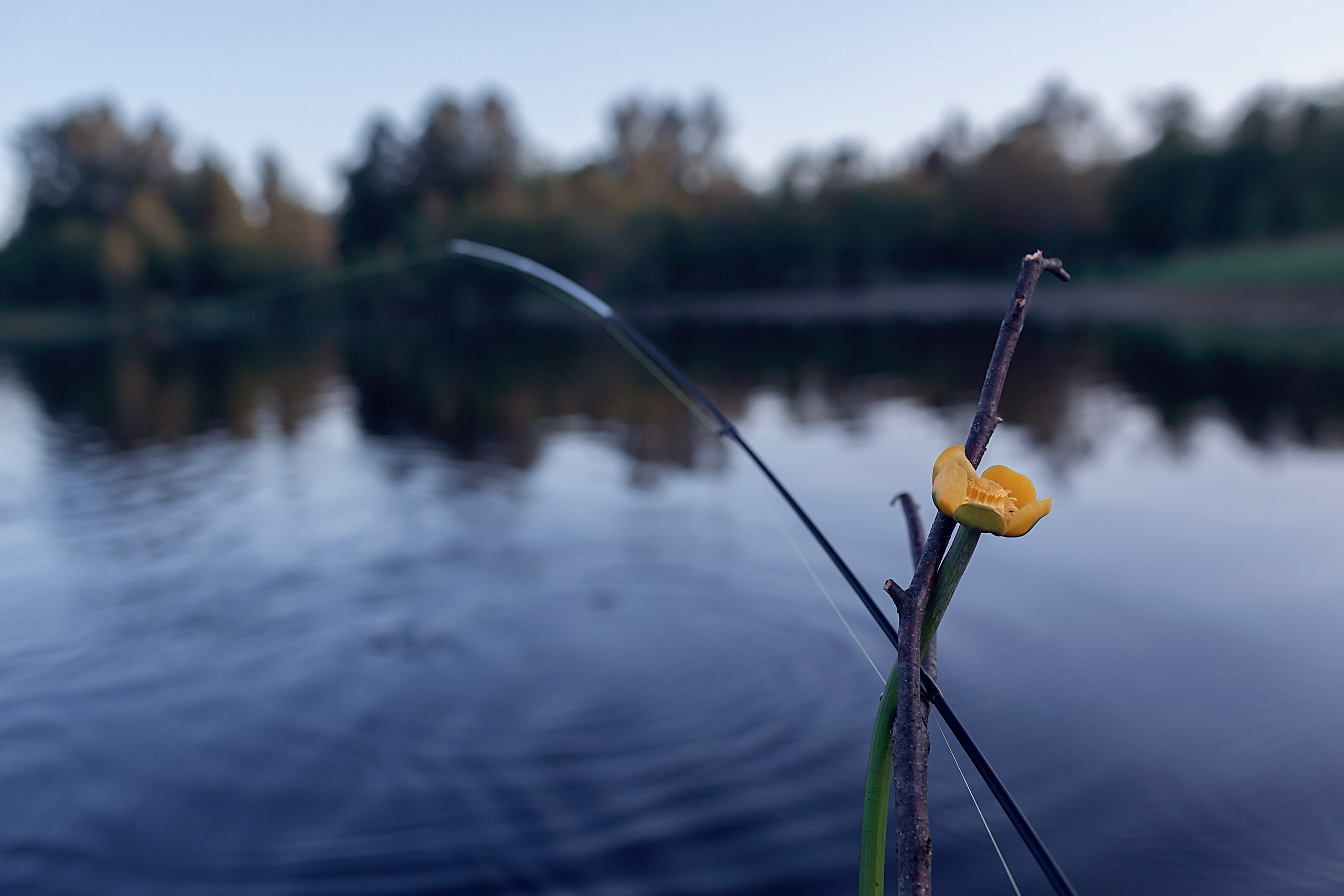 Рыбалка_2023. Семейный фотограф в Санкт-Петербурге