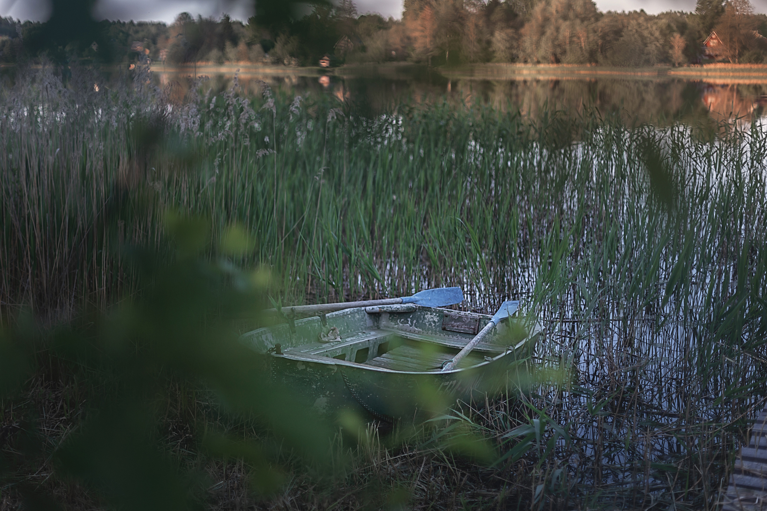 Рыбалка_2023. Семейный фотограф в Санкт-Петербурге
